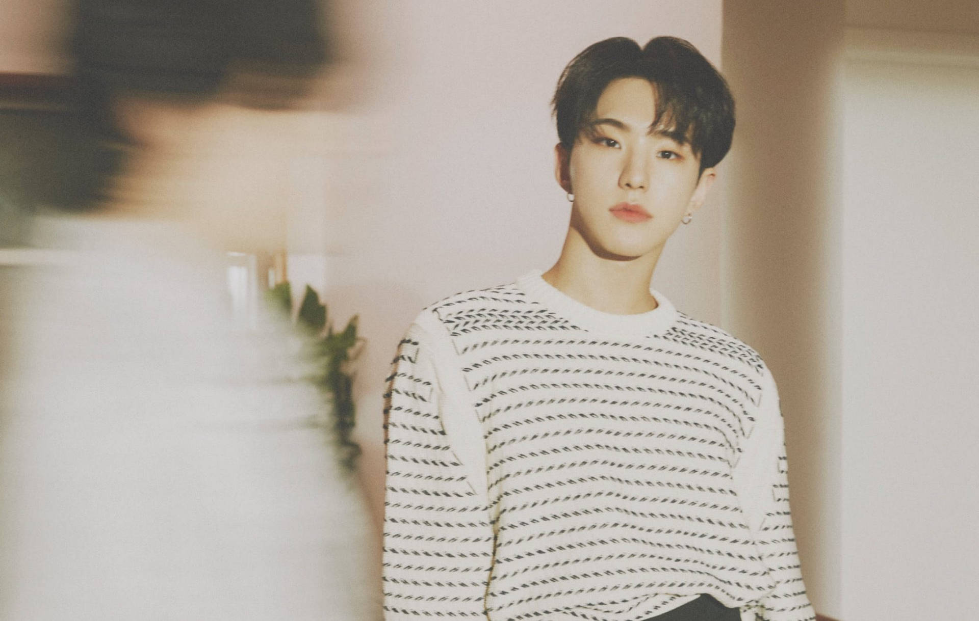 Hoshi Wallpaper