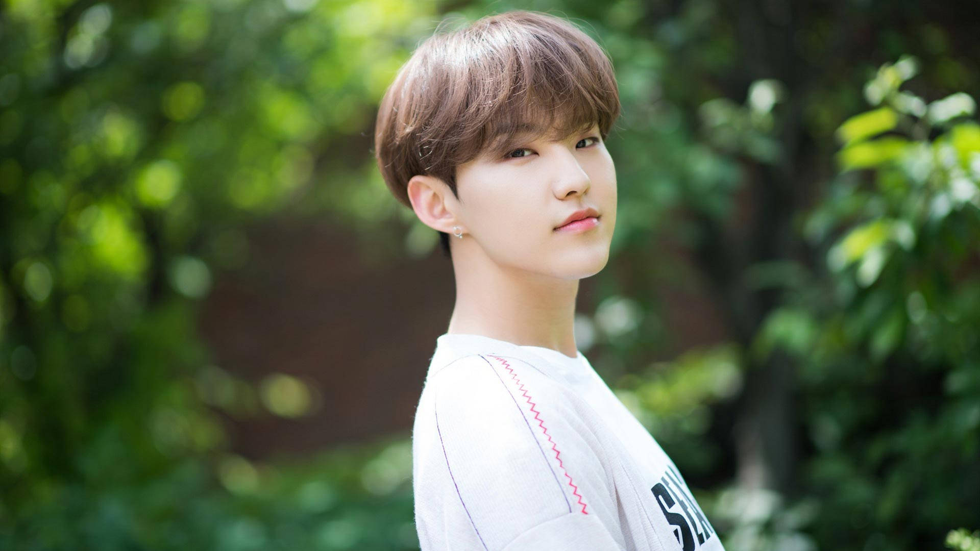 Hoshi Picture