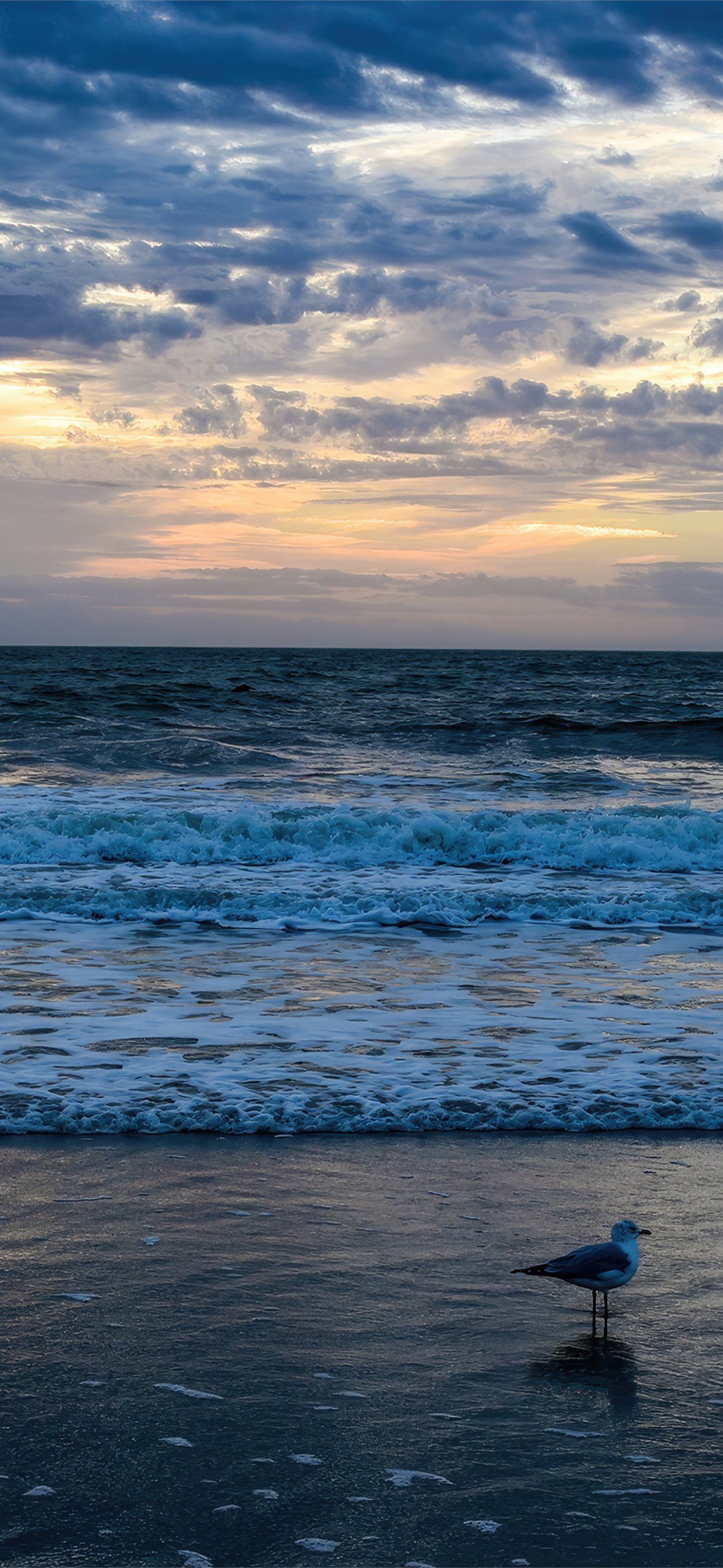 sunrise ocean 4k iPhone Wallpaper Free