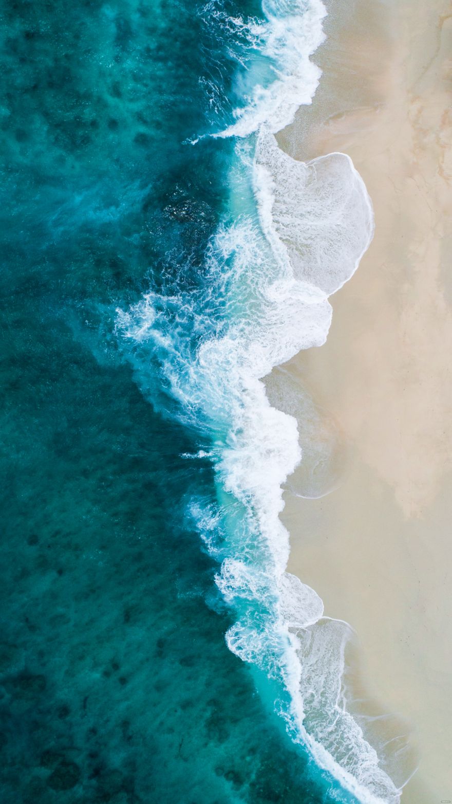 Summer Beach iPhone Background in SVG