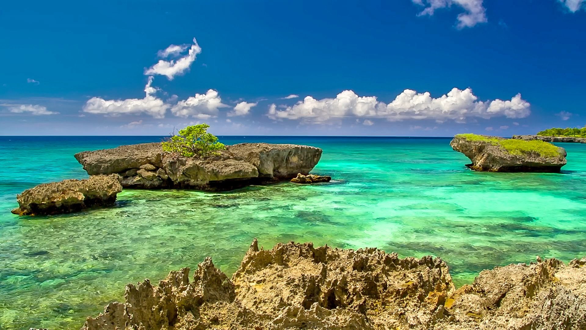 Desktop. Background. Photo. Image