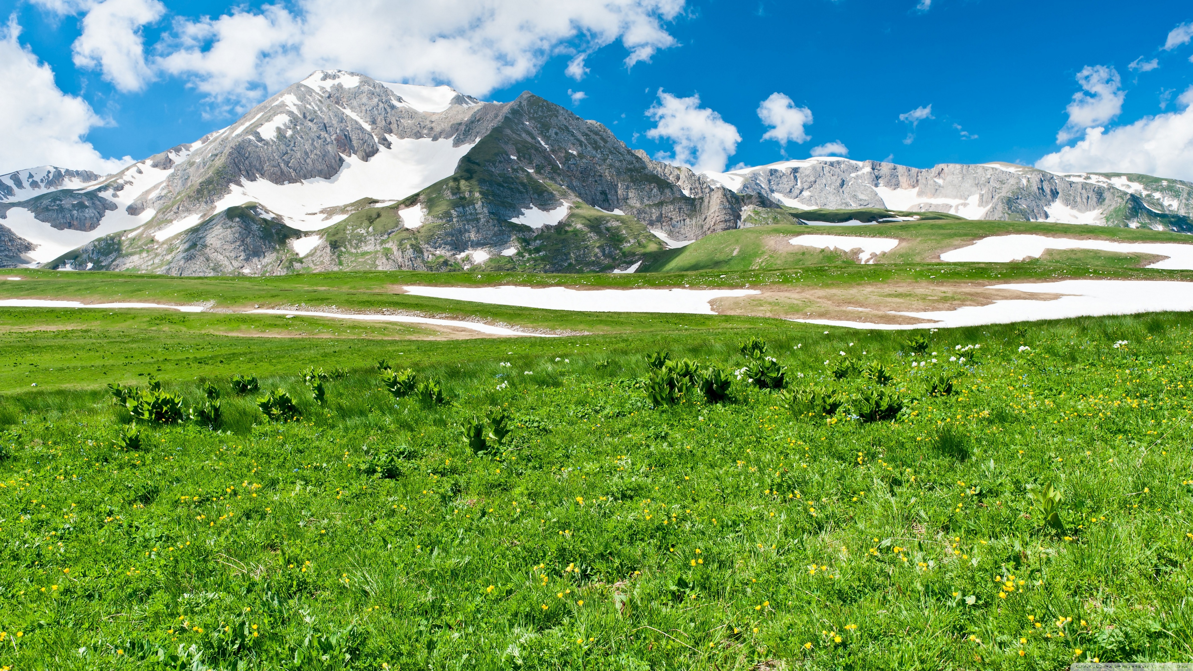 Desktop Background Wallpaper