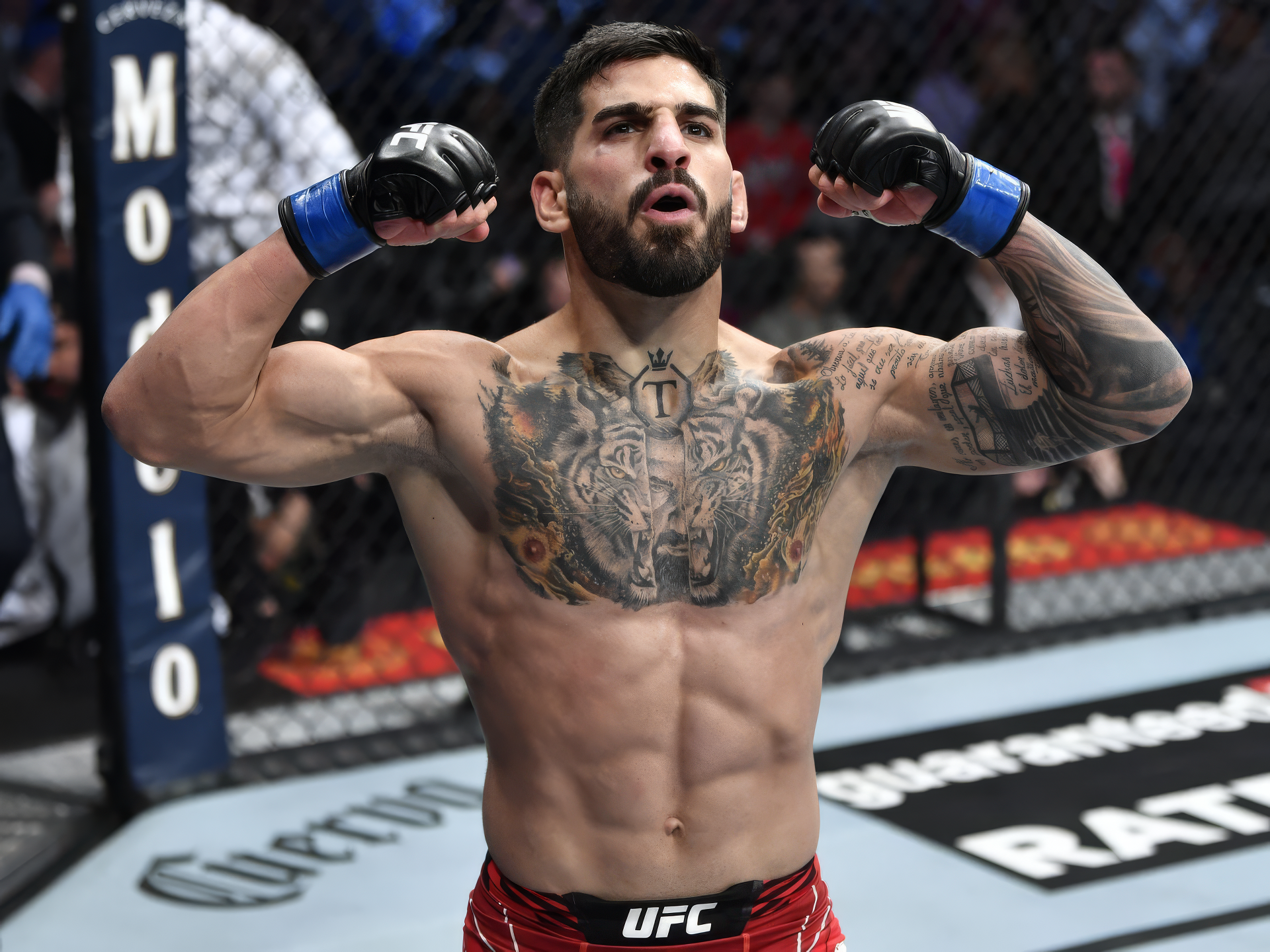 UFC Wallpaper, Phone