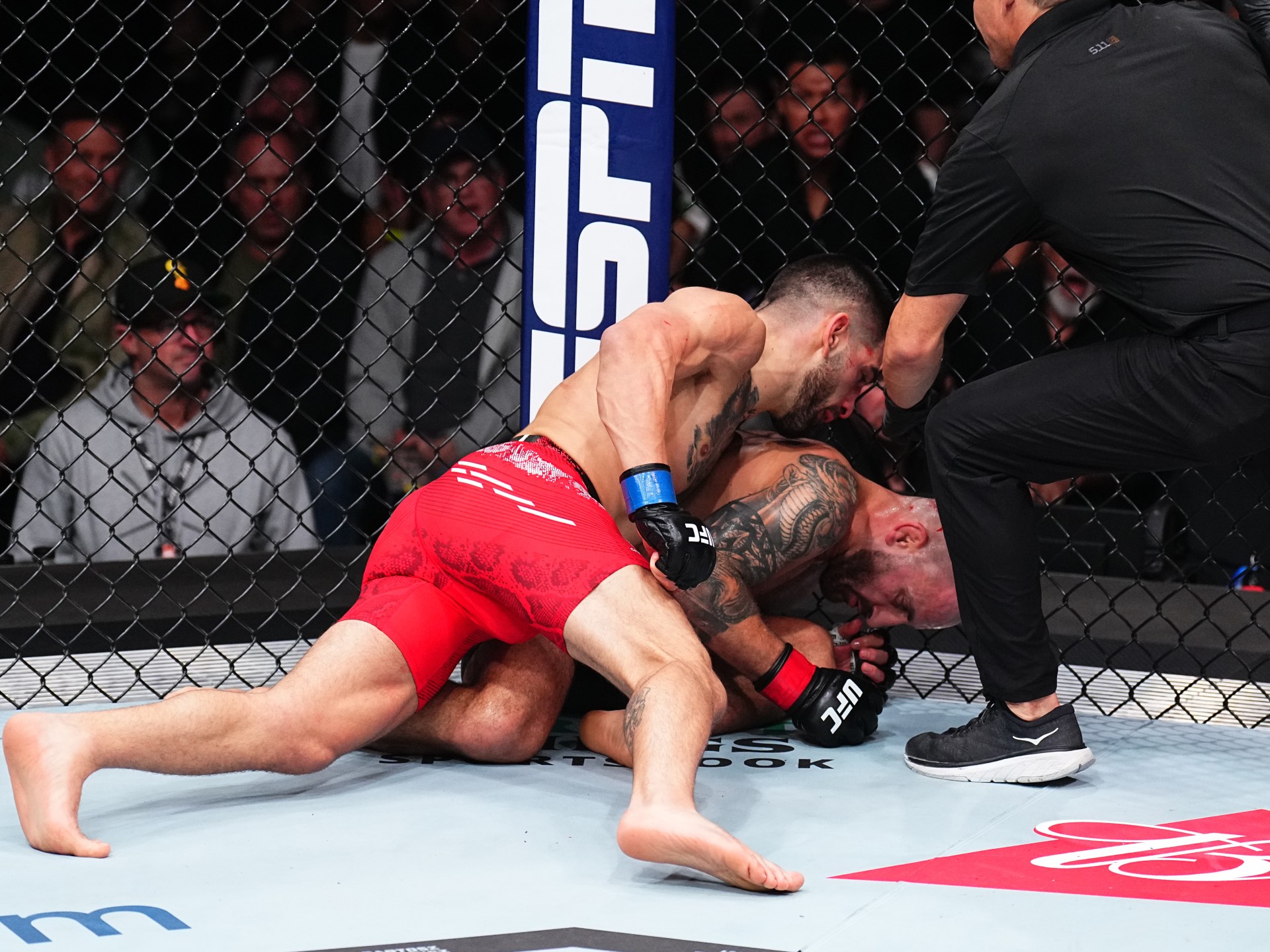 Ilia Topuria knocks Alexander