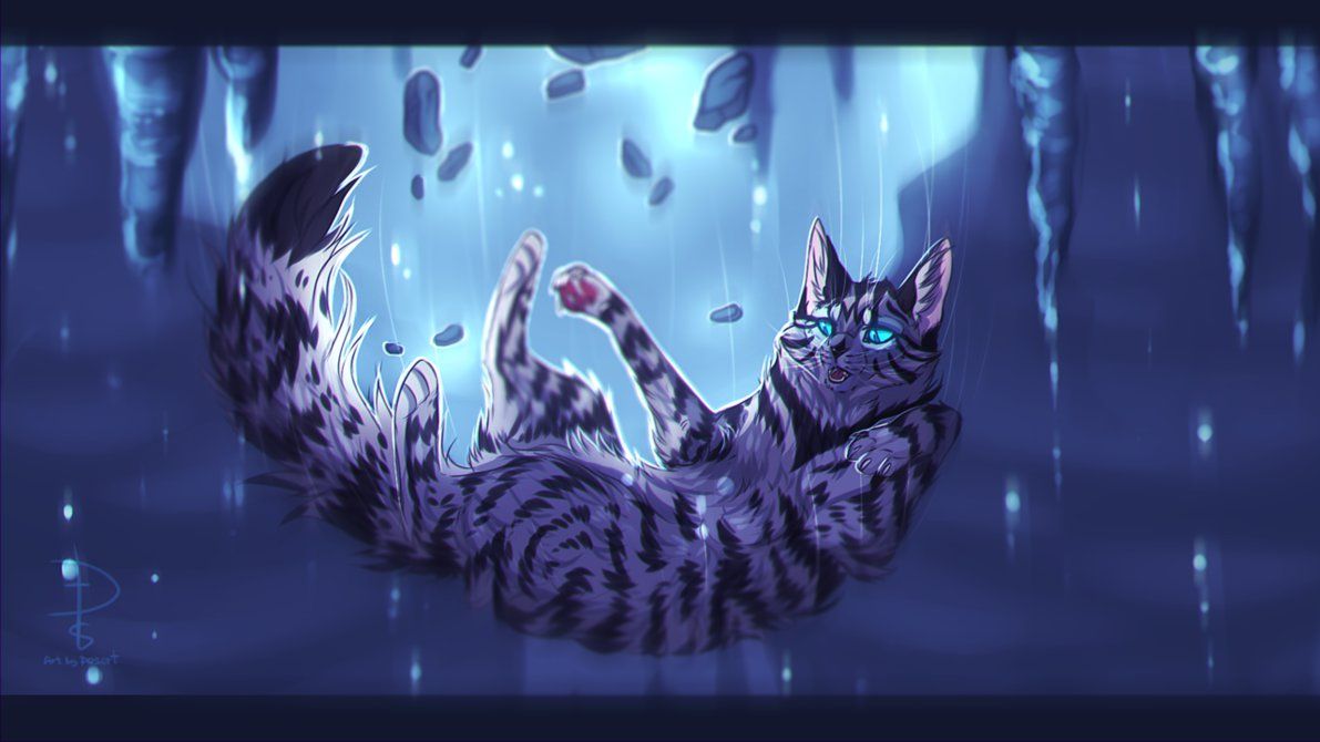 Warrior cats, Warrior cat drawings