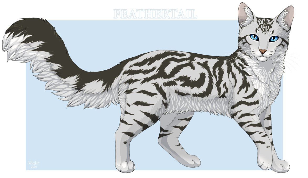 Feathertail by Vialir. Warrior cats