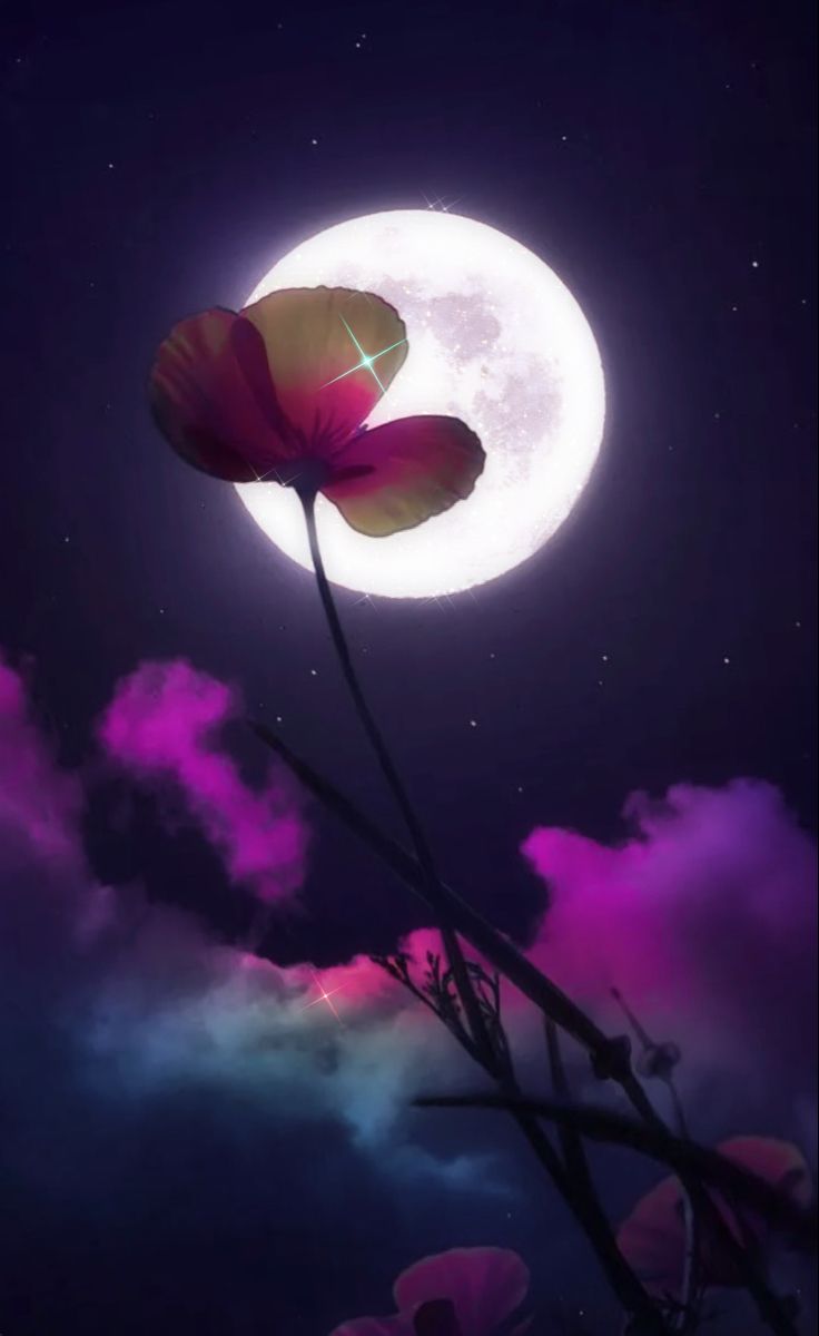 Flower Moon