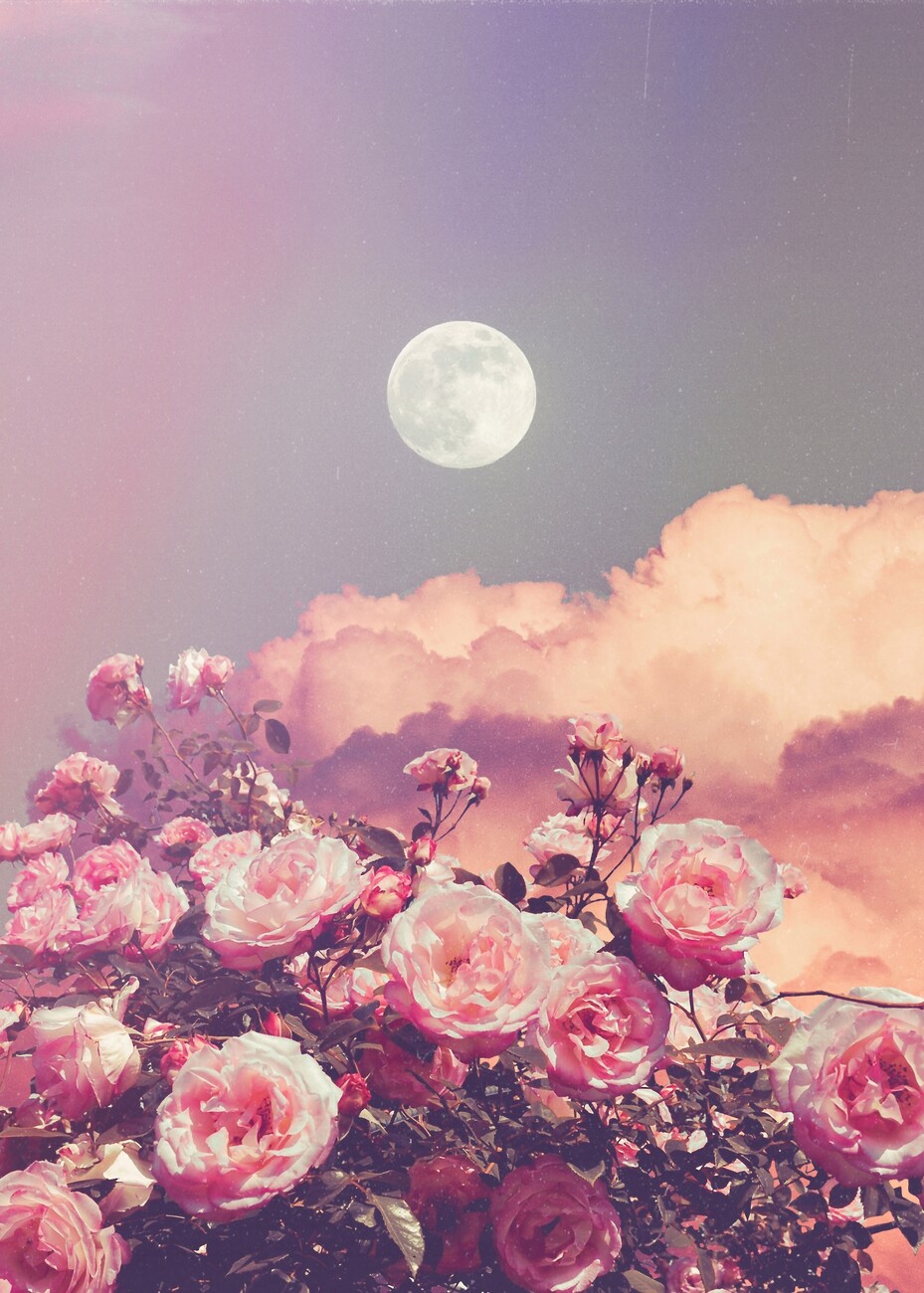 Aesthetic Rose Clouds and Full Moon