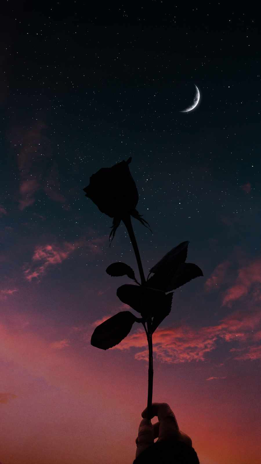 Moon And Rose IPhone Wallpaper