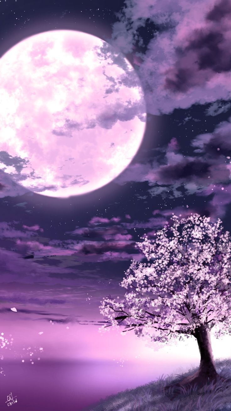 Cherry blossom wallpaper, Anime cherry