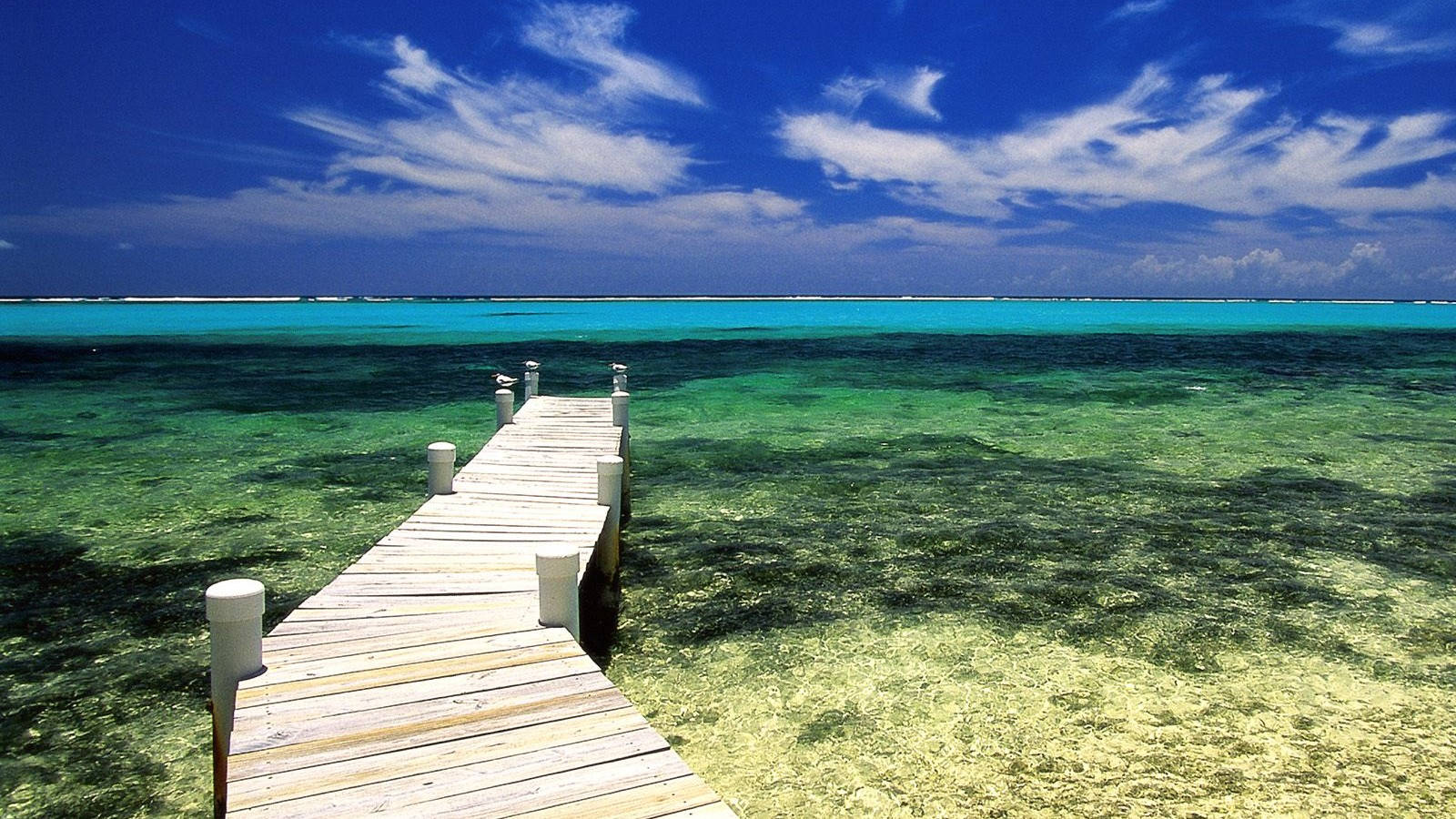 Cayman Island Wallpaper