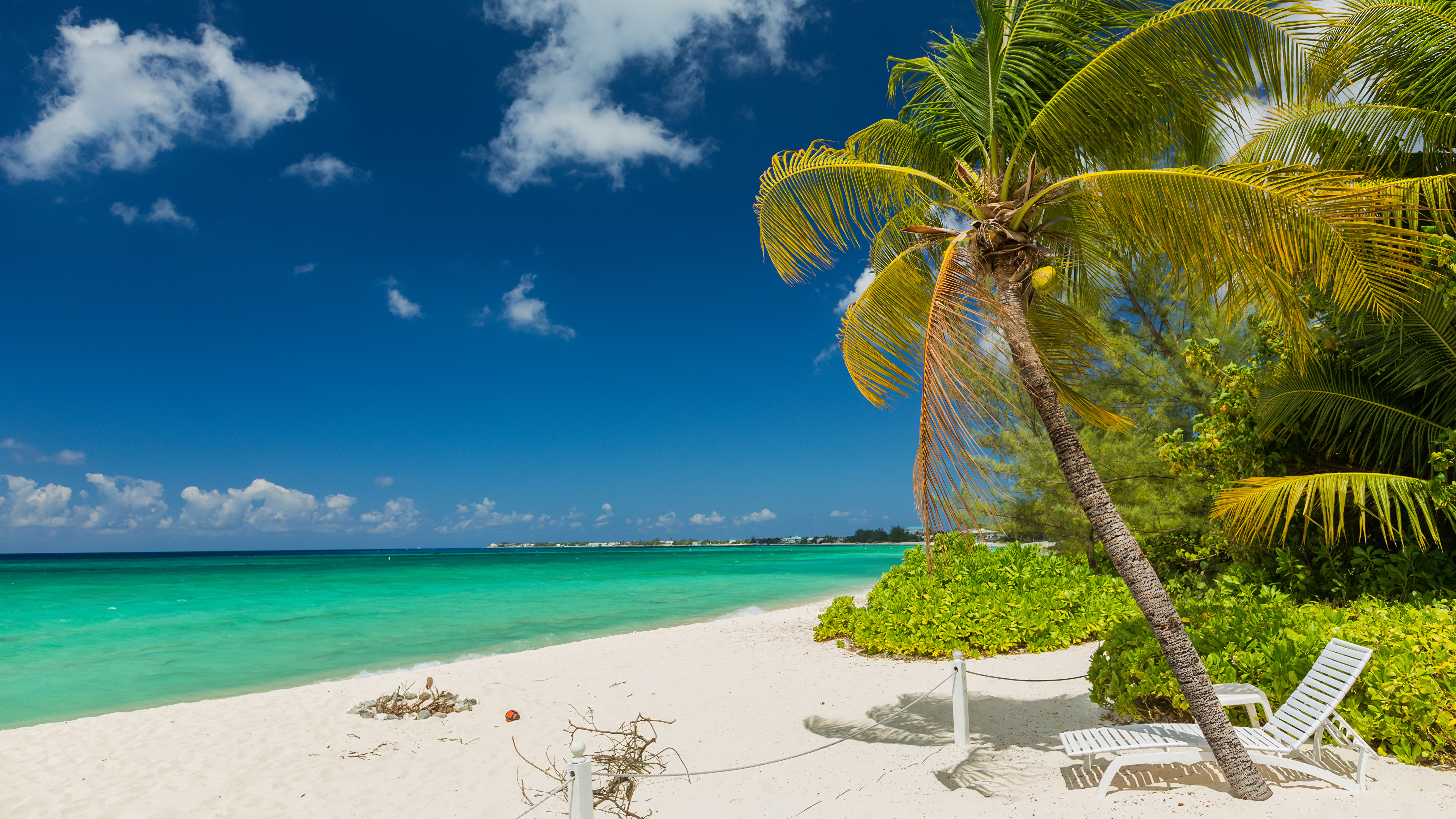 Wallpaper Grand Cayman Nature Sky Palms