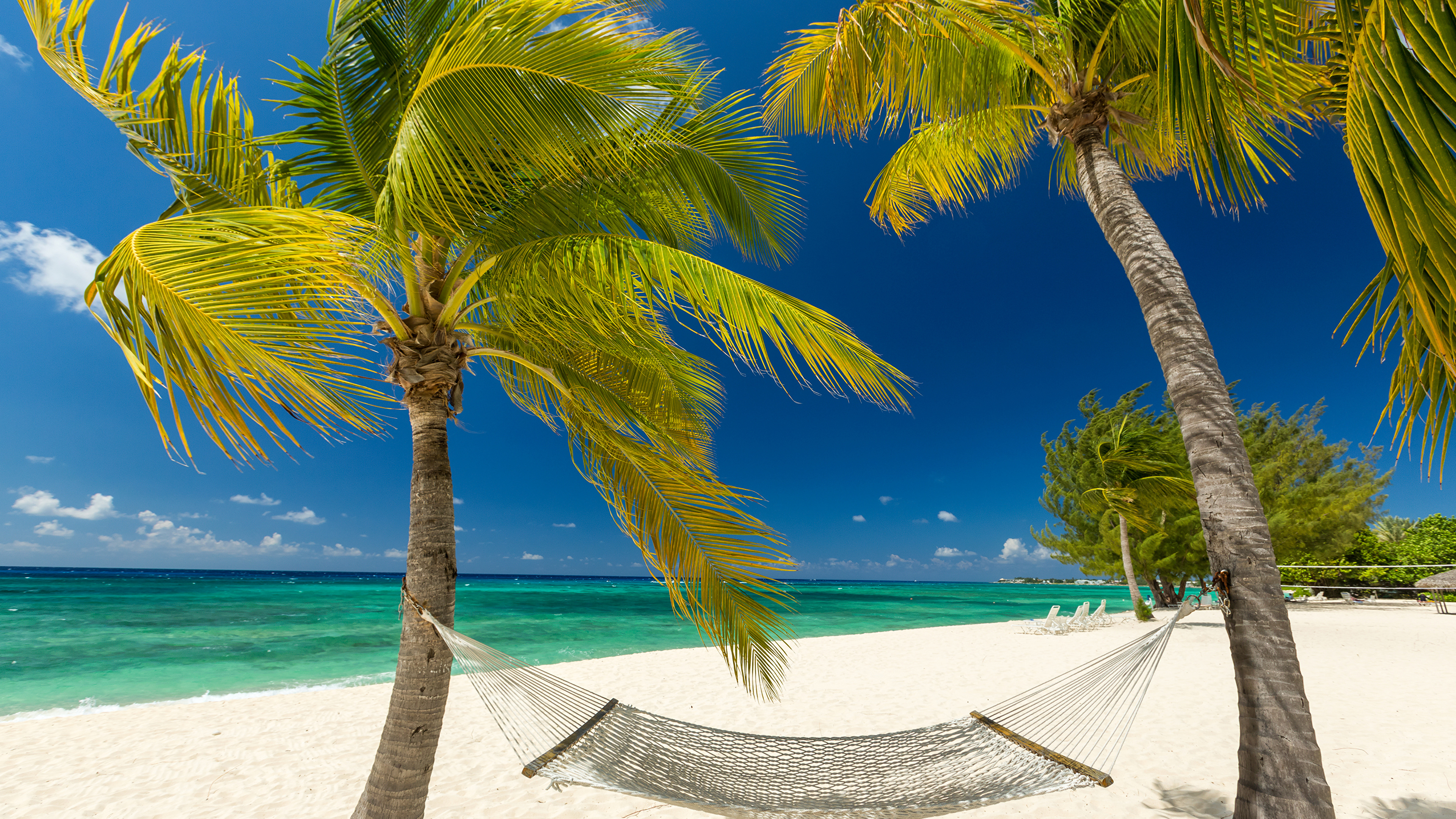 Photos Hammock Grand Cayman beaches