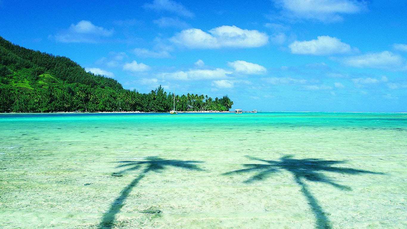 Two palms and turquoise sea beach