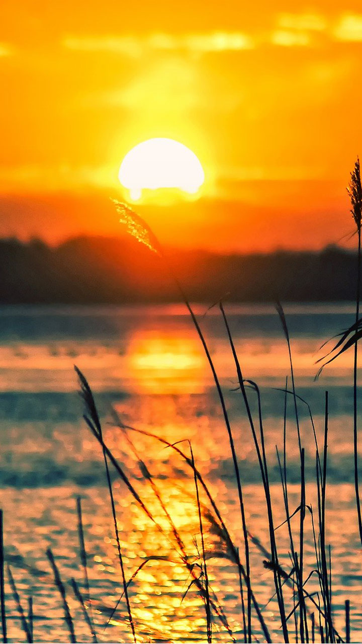 Beach wallpaper and background free