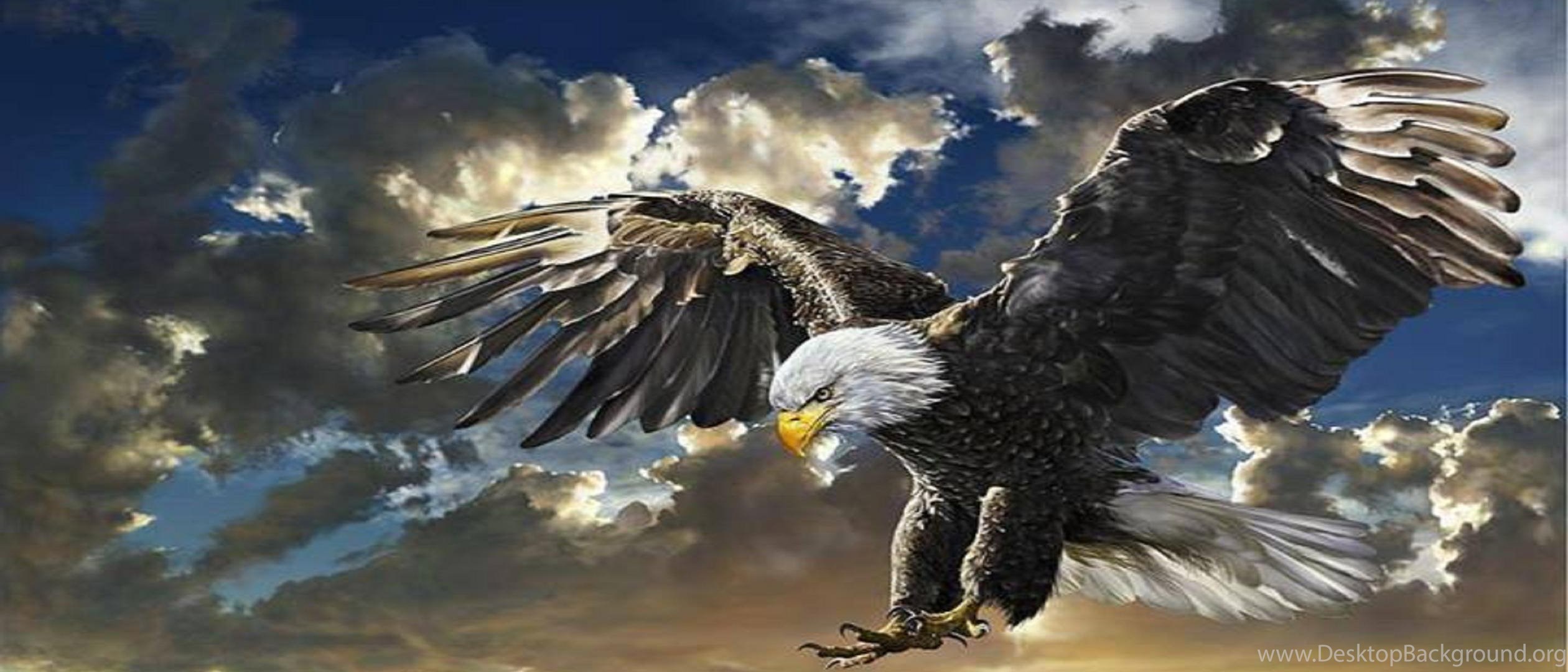 Eagle Desktop Wallpaper Desktop Background