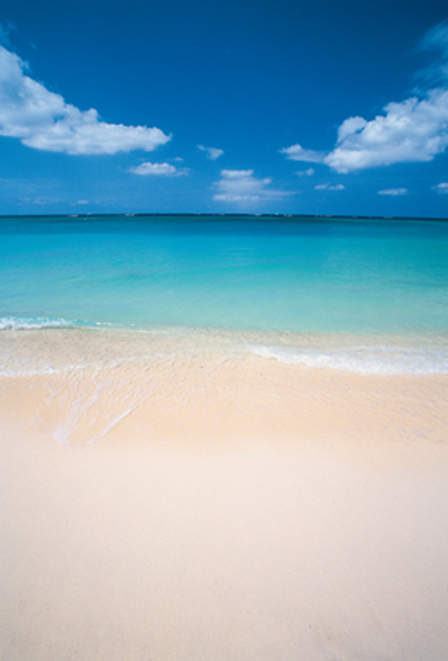 Vivid Grand Cayman Car Rental Airport Background Concept Vivid Grand Cayman Car Rental Airport Background Concept