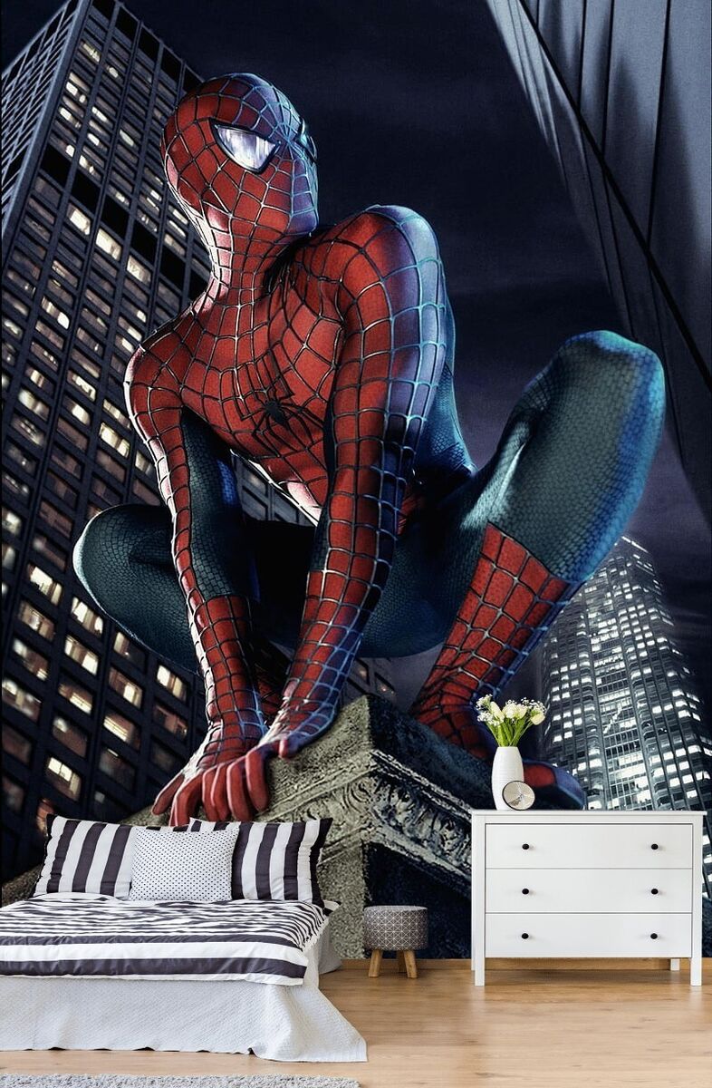 Wall Mural Spider Man Photo Wallpaper