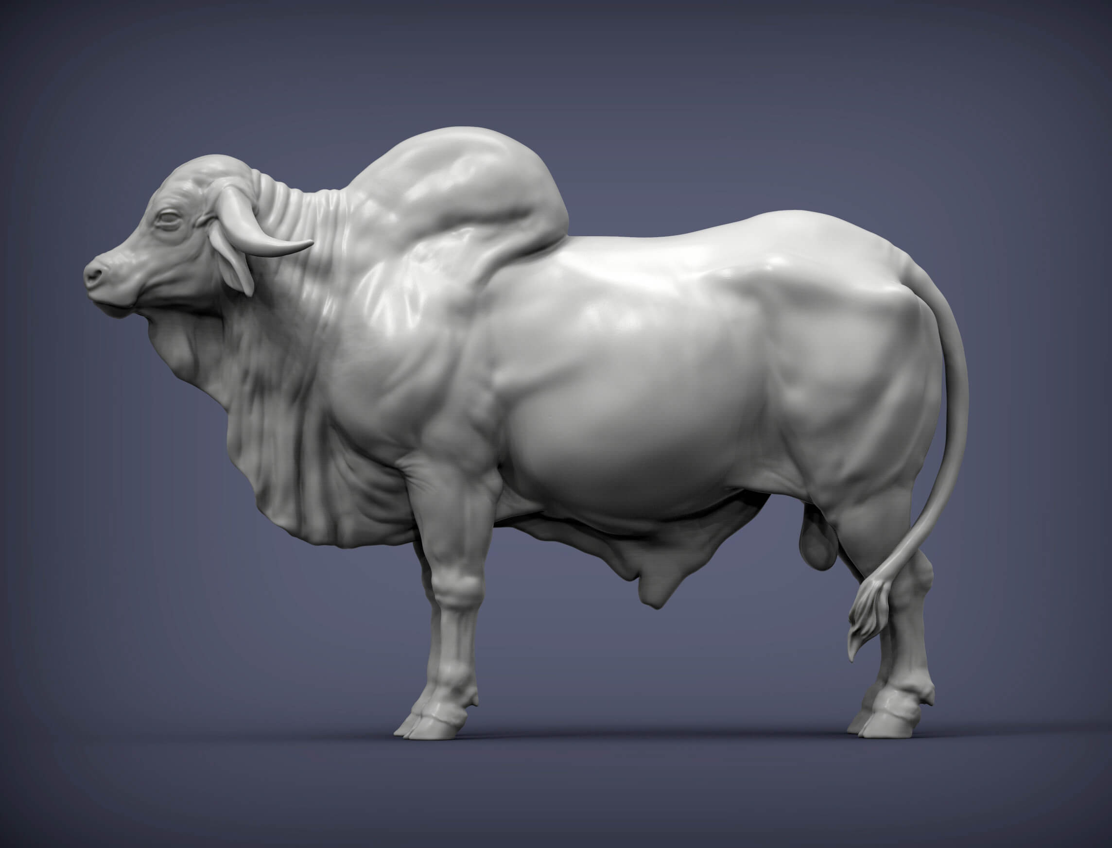 Gyr Bull 3D Print Model