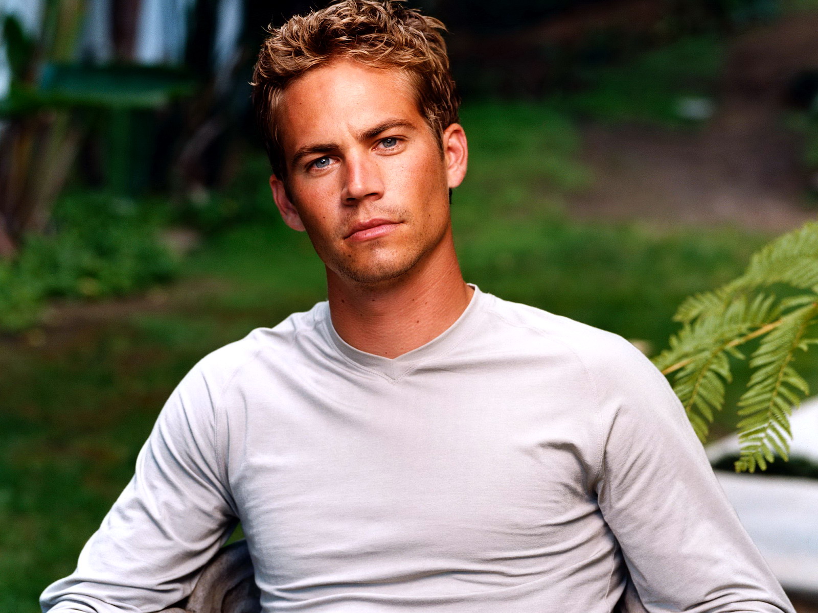 Wallpaper Paul Walker Celebrities