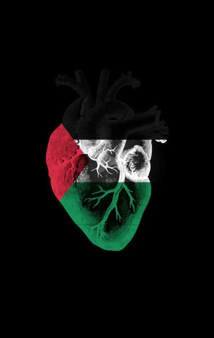 روحي فدااك يافُـلَسِــطِيِّنِ