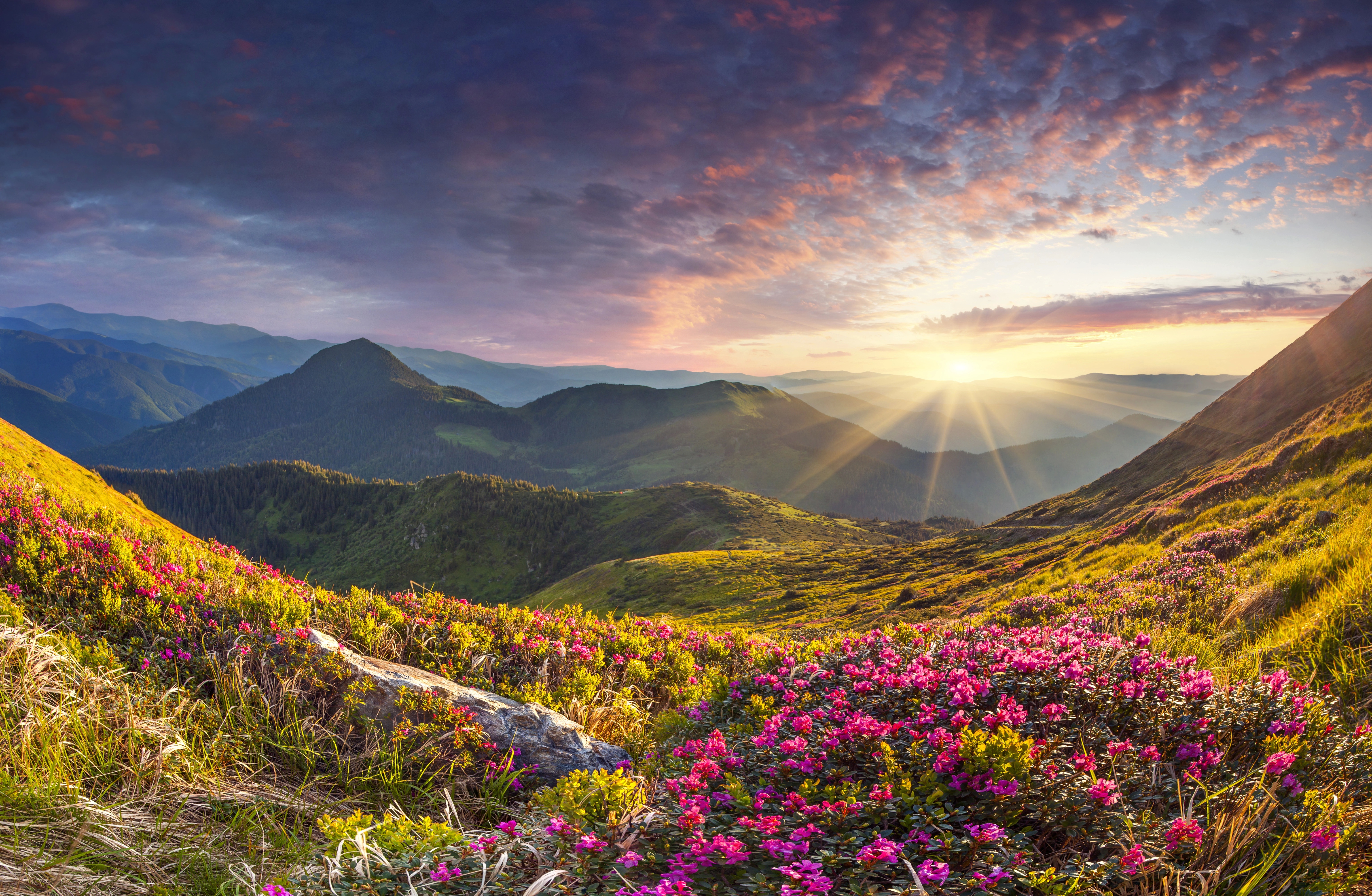 Download Sunrise Nature Landscape 4k