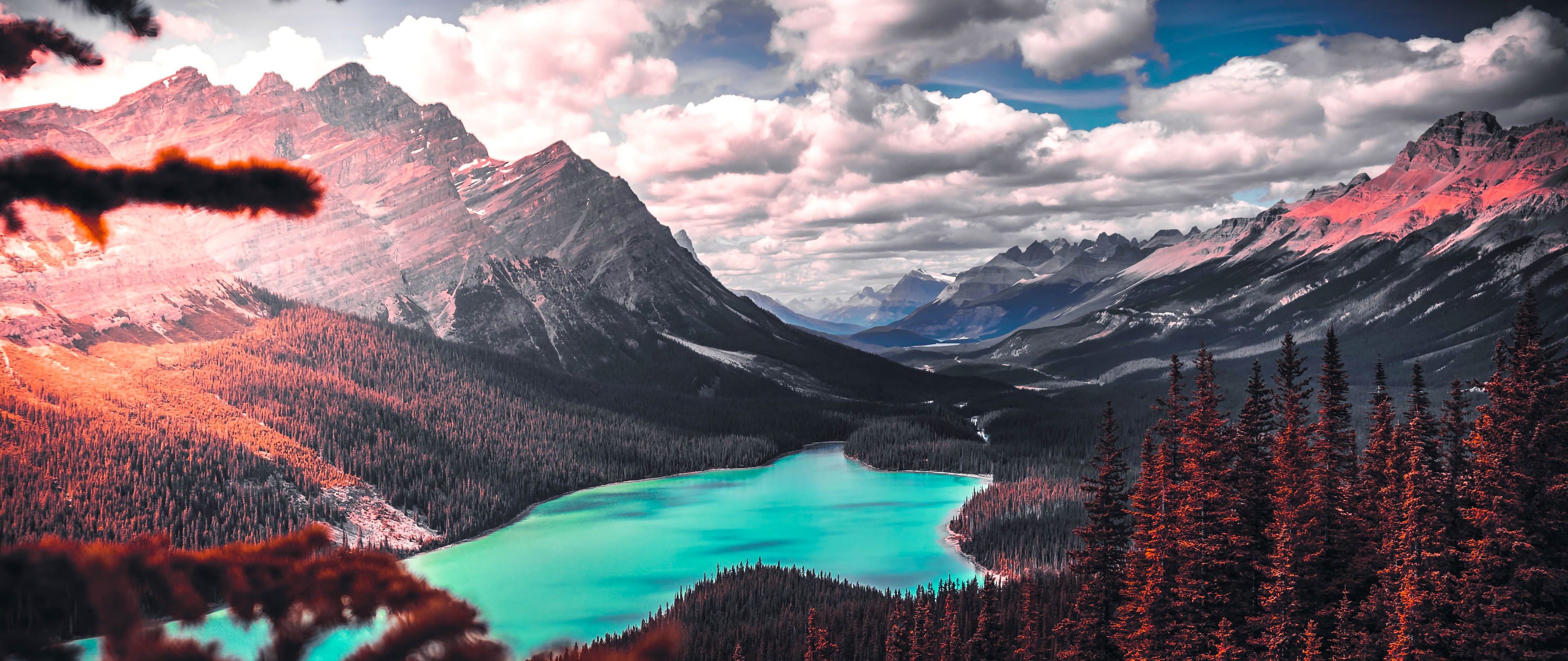 Mountain Lake Nature Forest Landscape