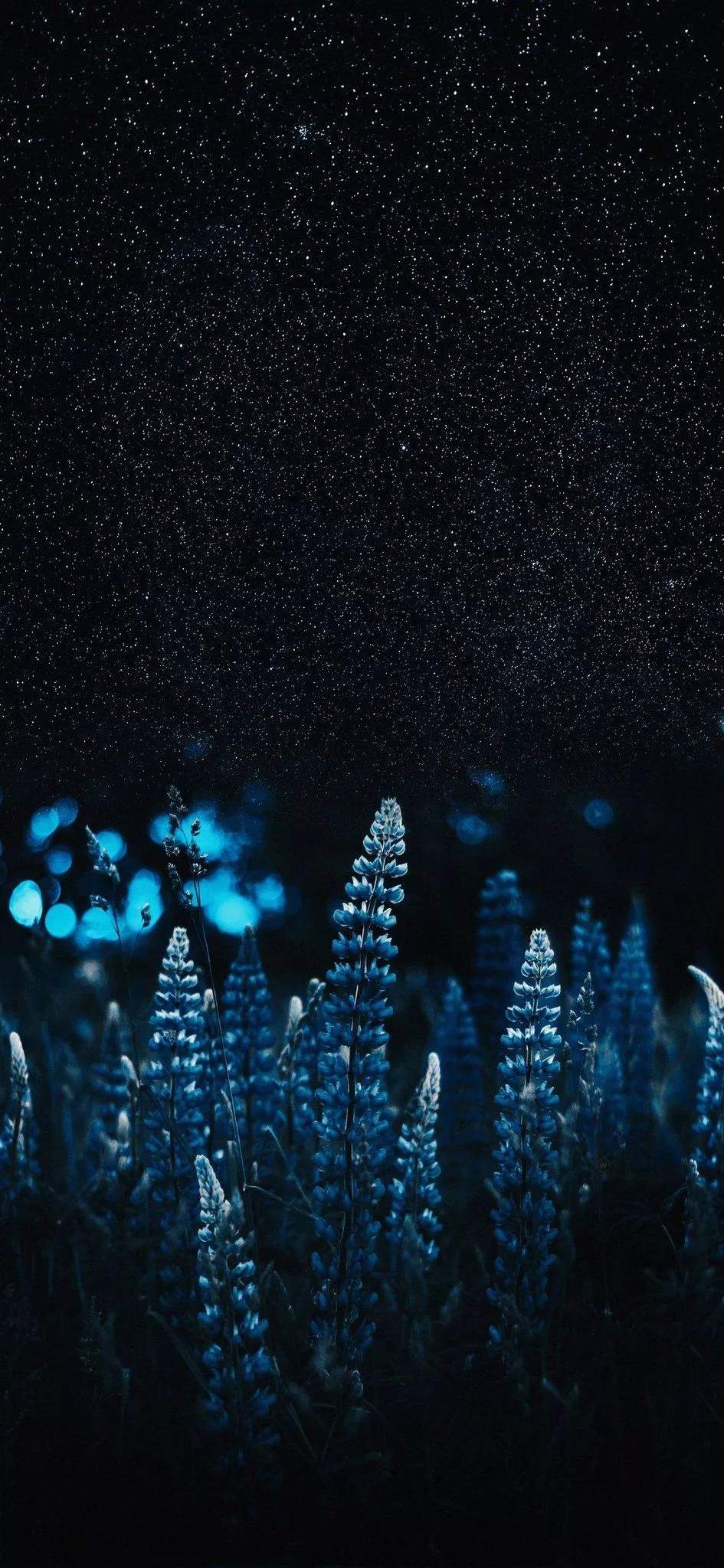 4k #wallpaper for your #smartphone