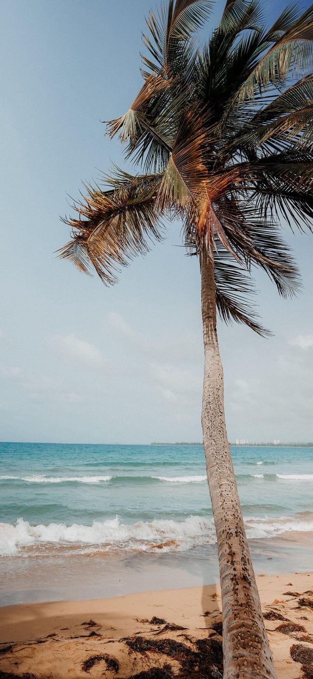 iPhone 13 Mini Setup Wallpaper