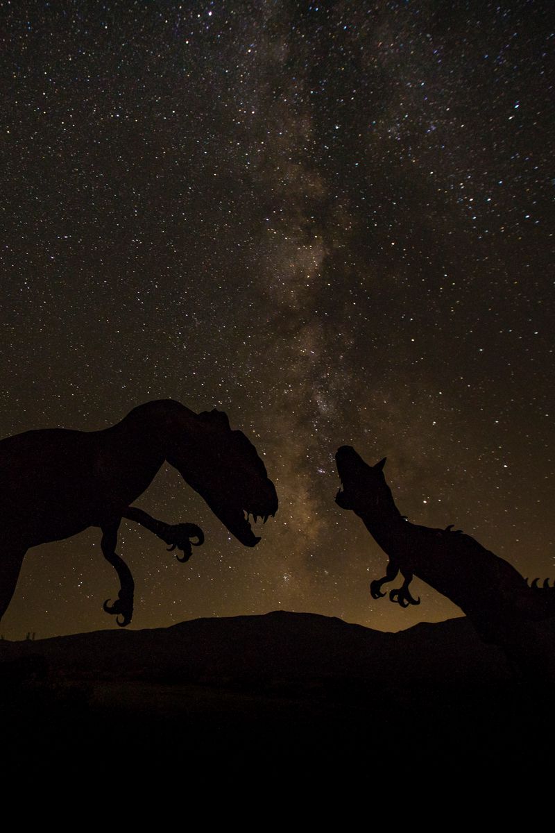 Download wallpaper 800x1200 dinosaurs