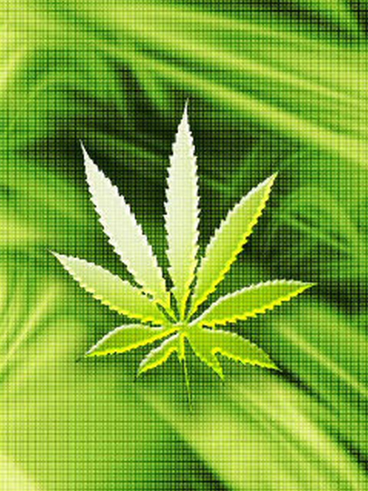 HD Weed Wallpaper iPhone