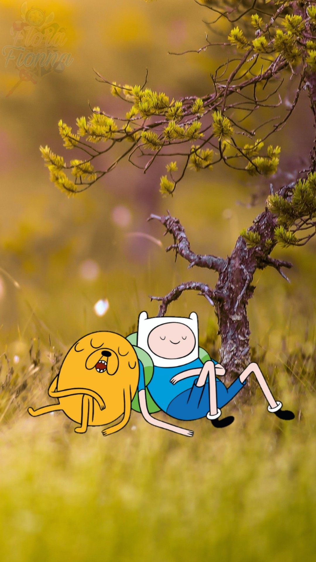 Adventure Time Phone Wallpaper