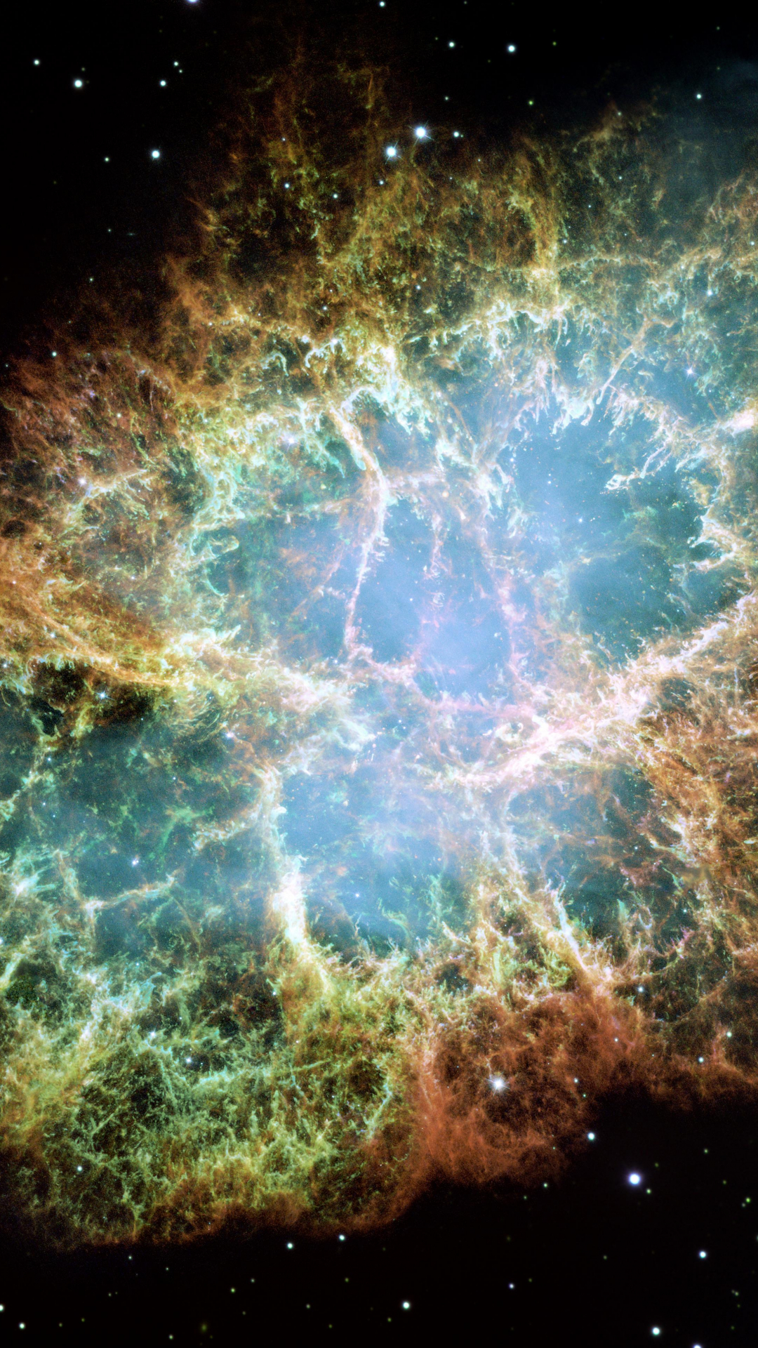 The Crab Nebula