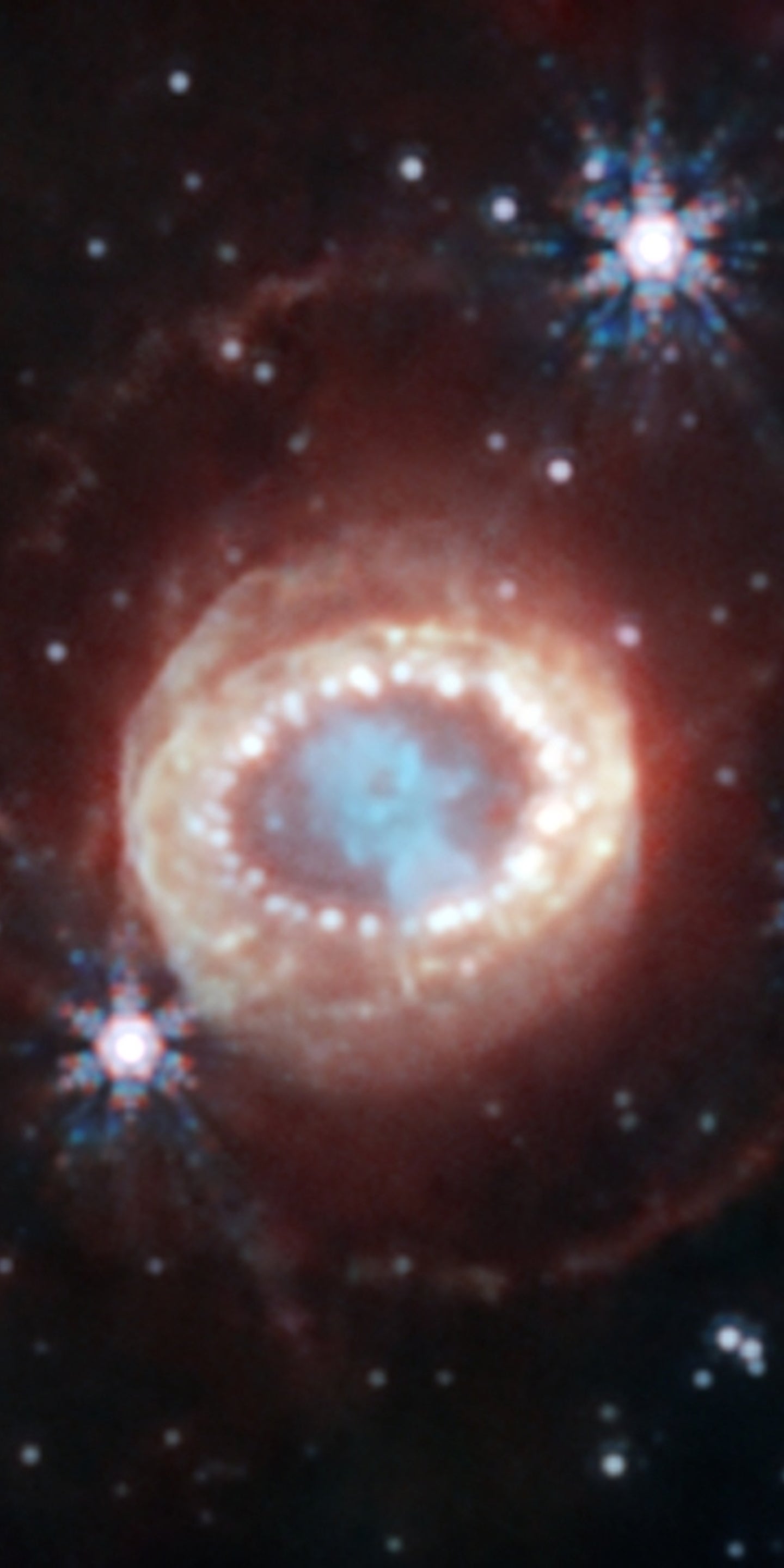 Spectacular Supernova Image