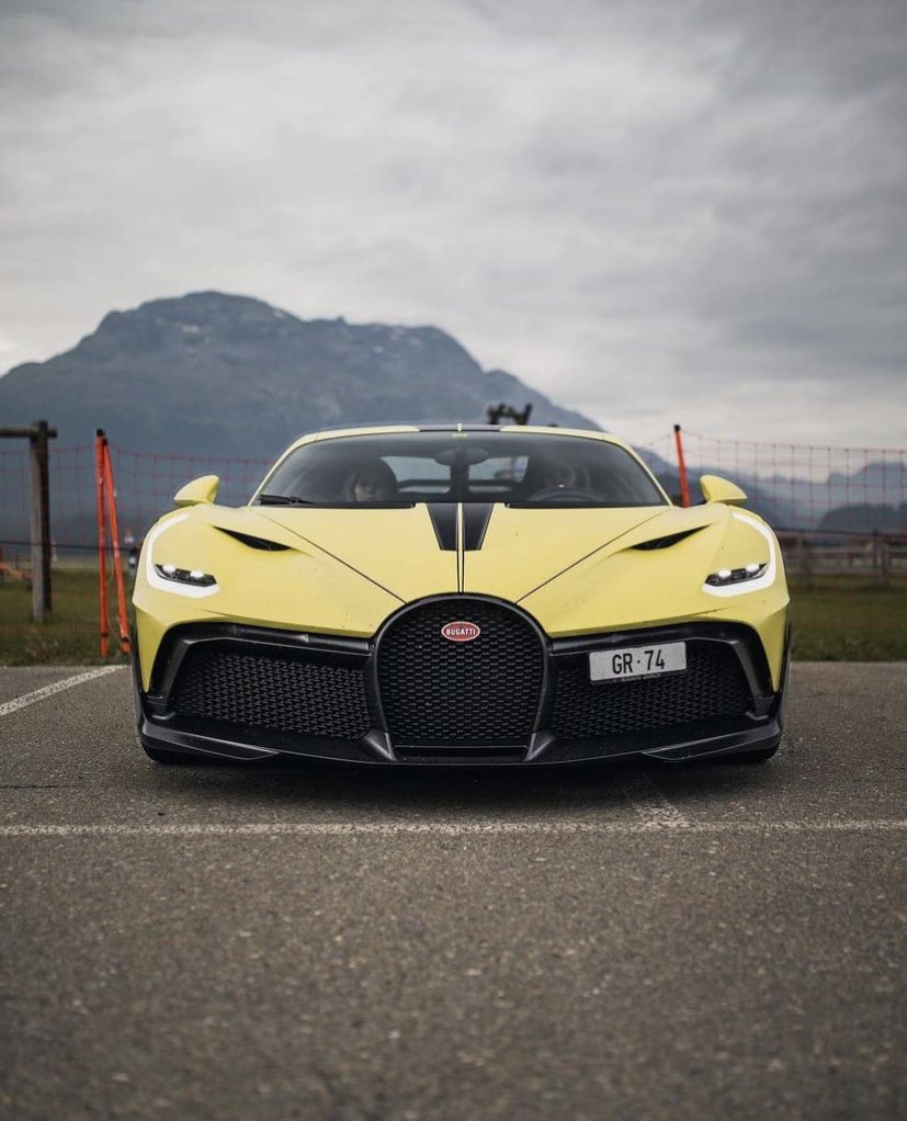 LUX Lifestyle Divo ☀️