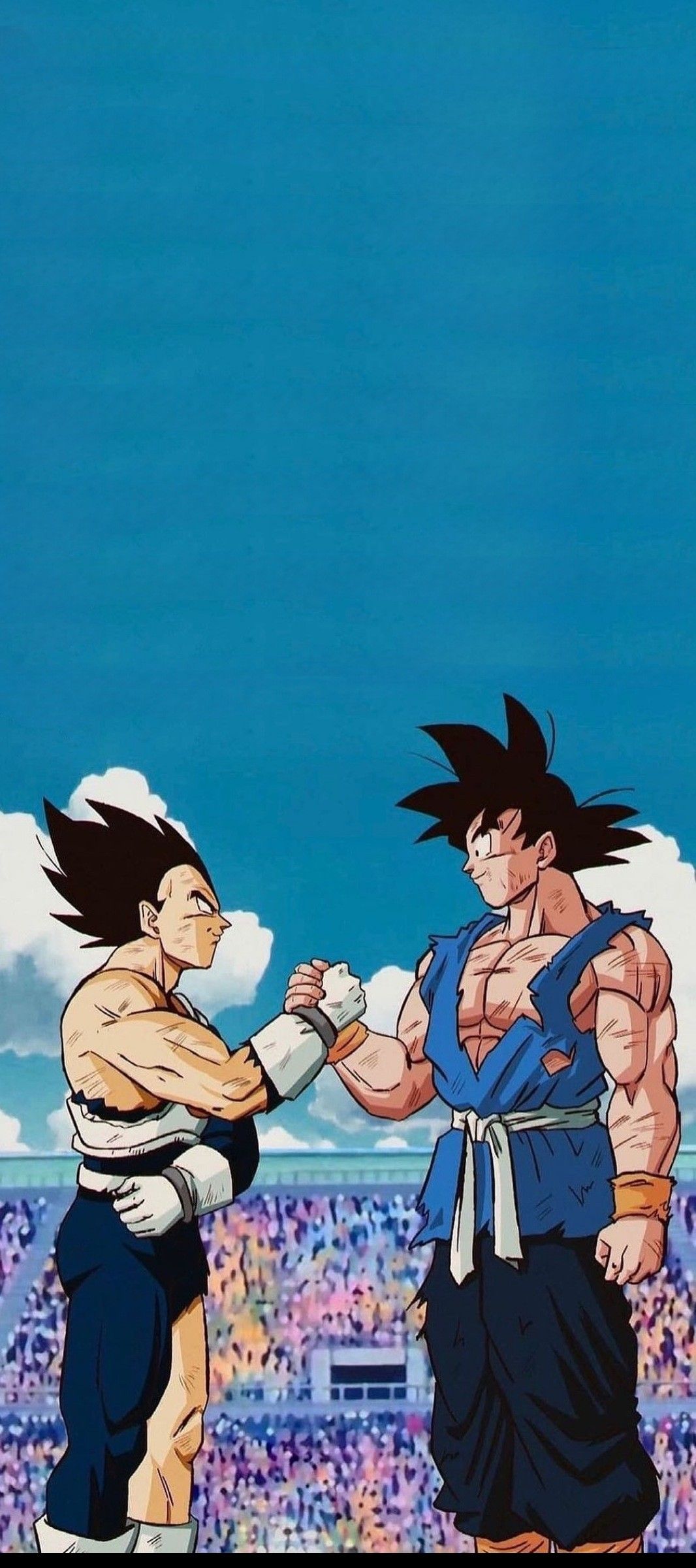Vegeta & Goku. Anime