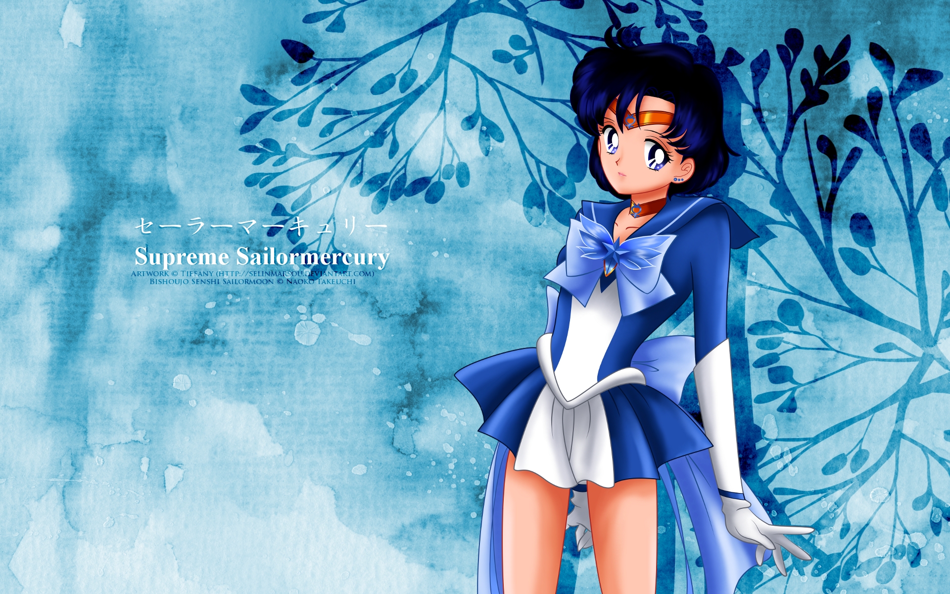 Sailor Mercury Ami