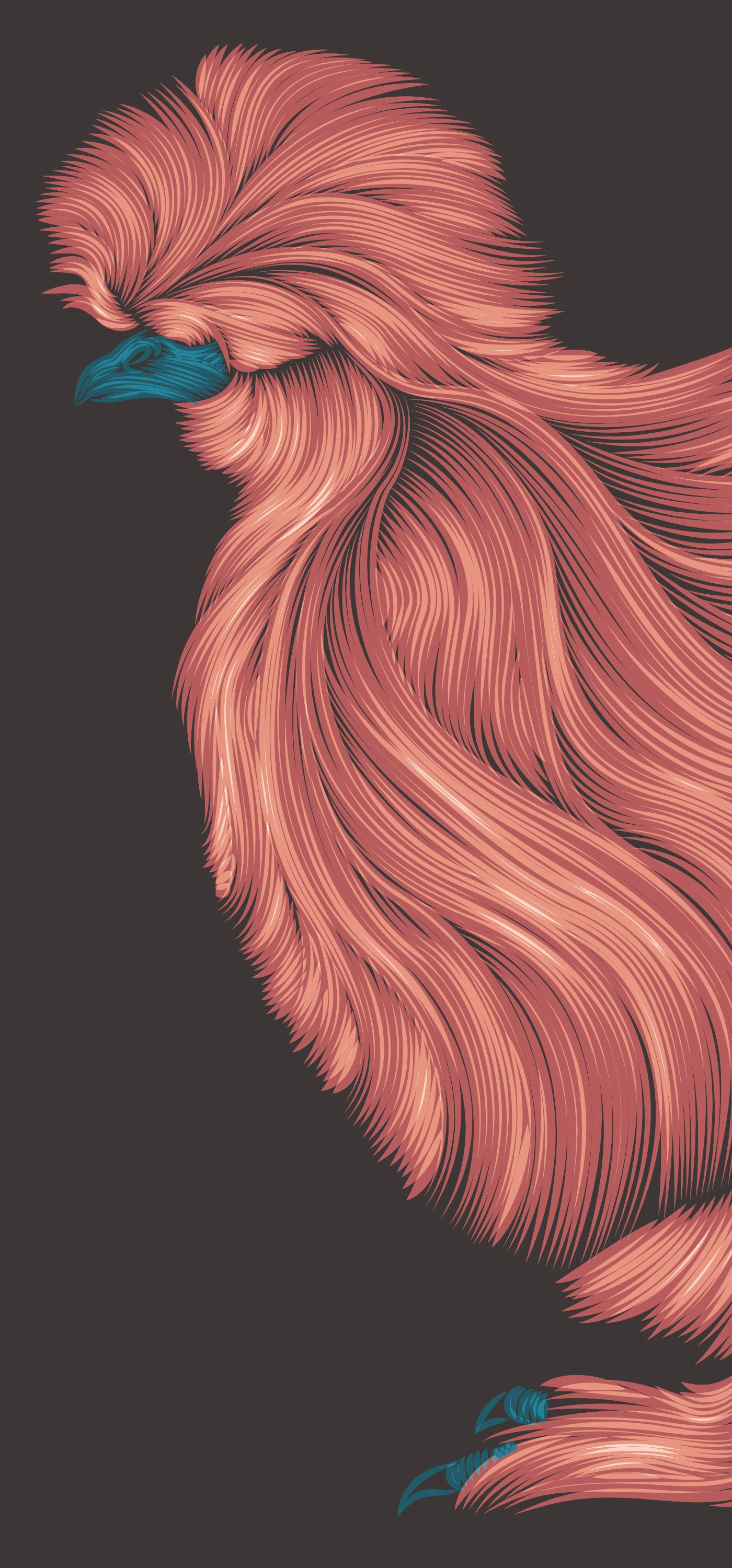 Chicken wallpaper, Cute chickens, Cute