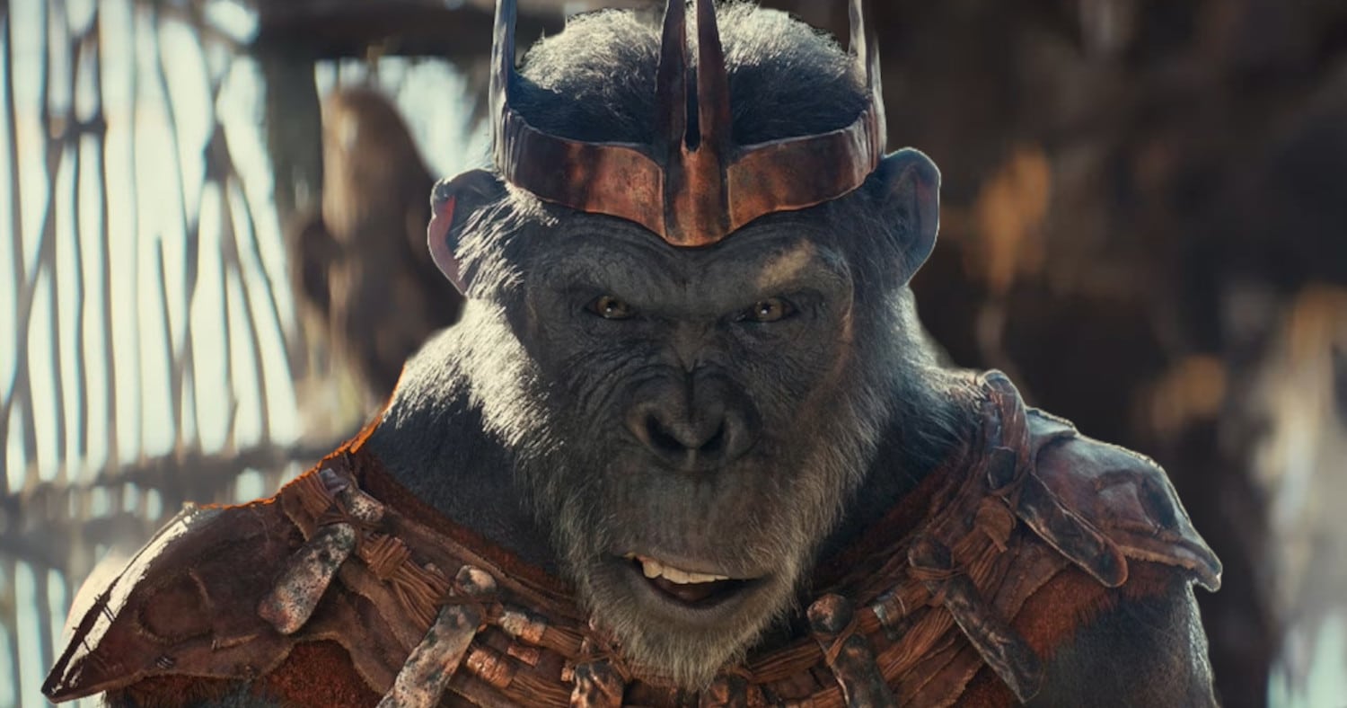 Kingdom of the Planet of the Apes: Set