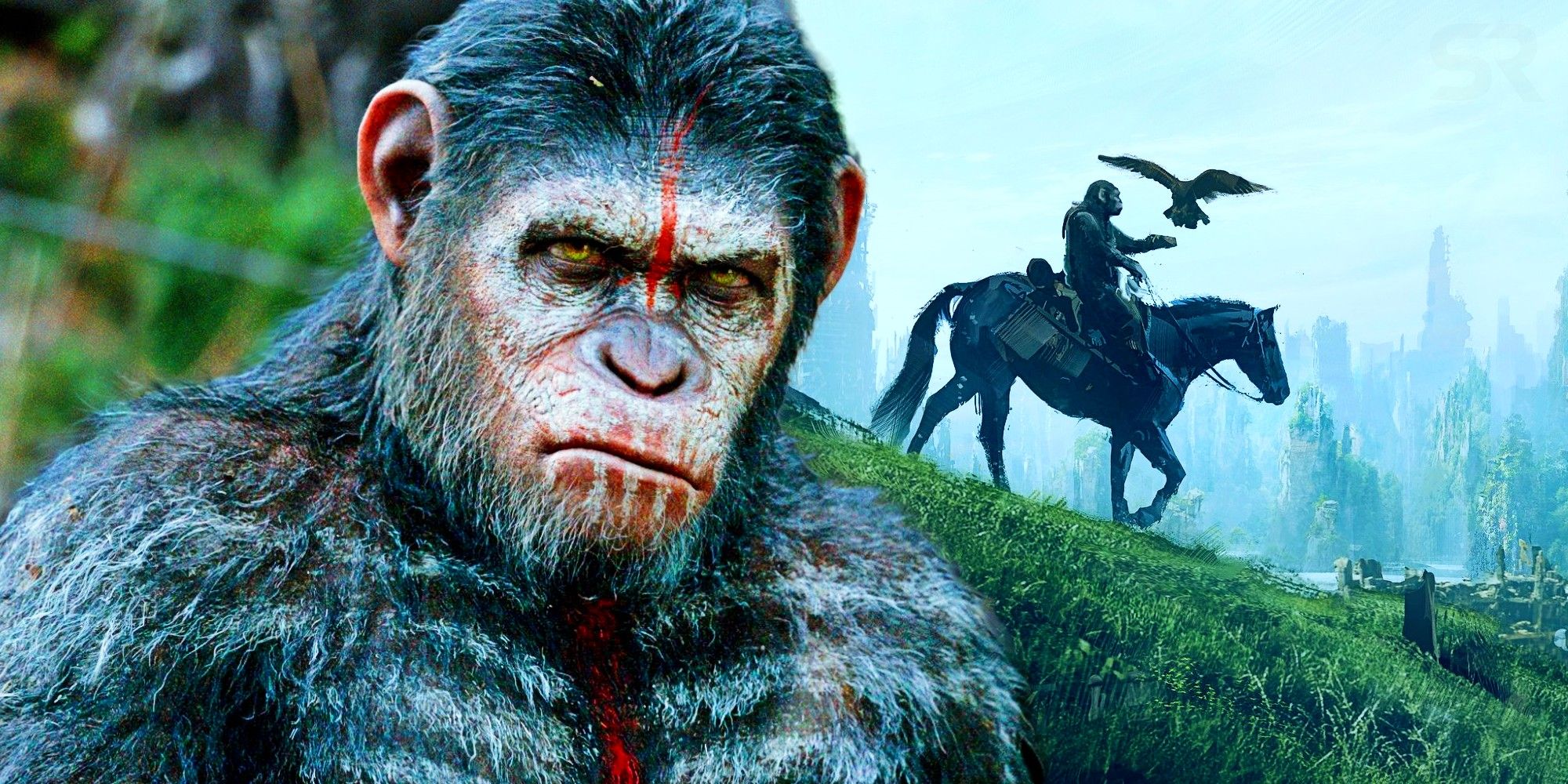 Kingdom Of The Planet Of The Apes