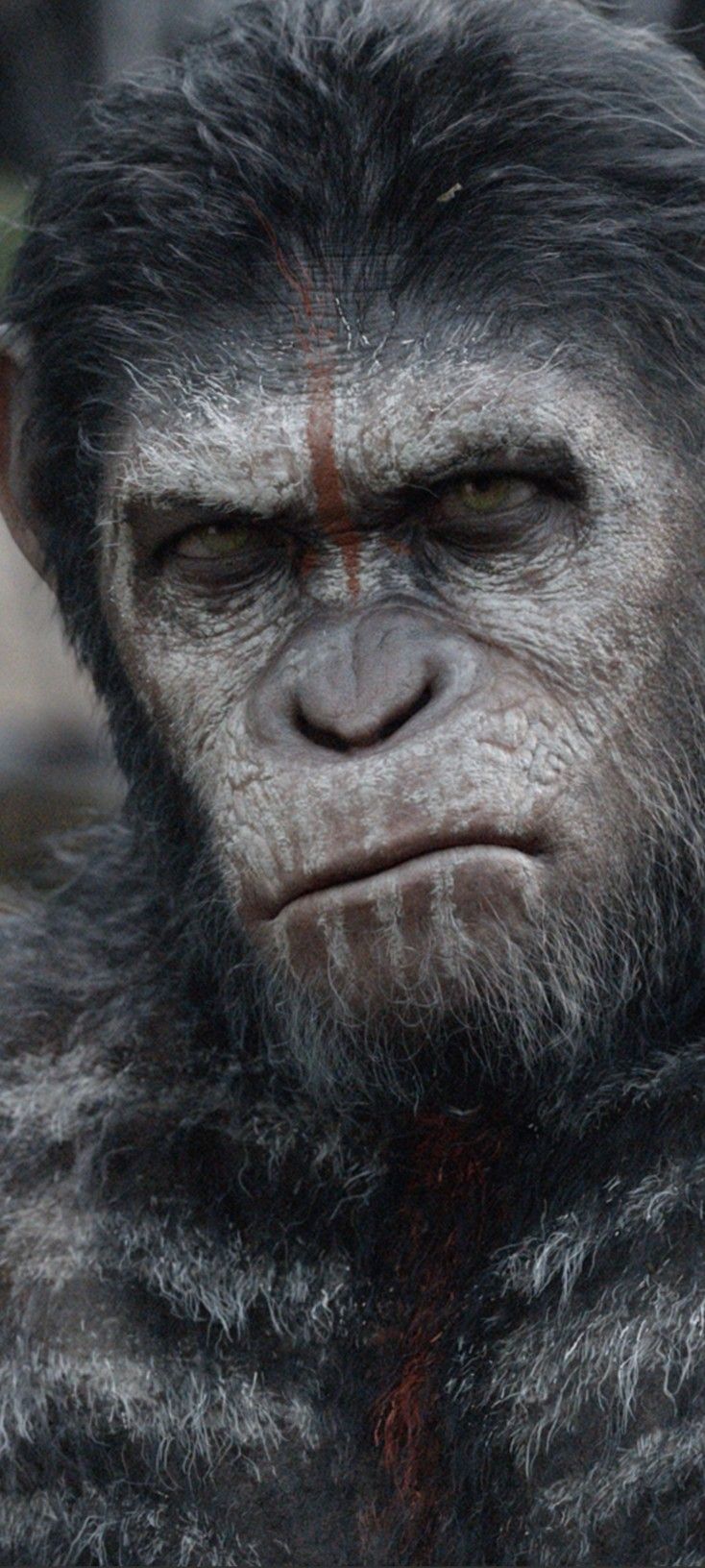 FULL Screen Image. Planet of the apes