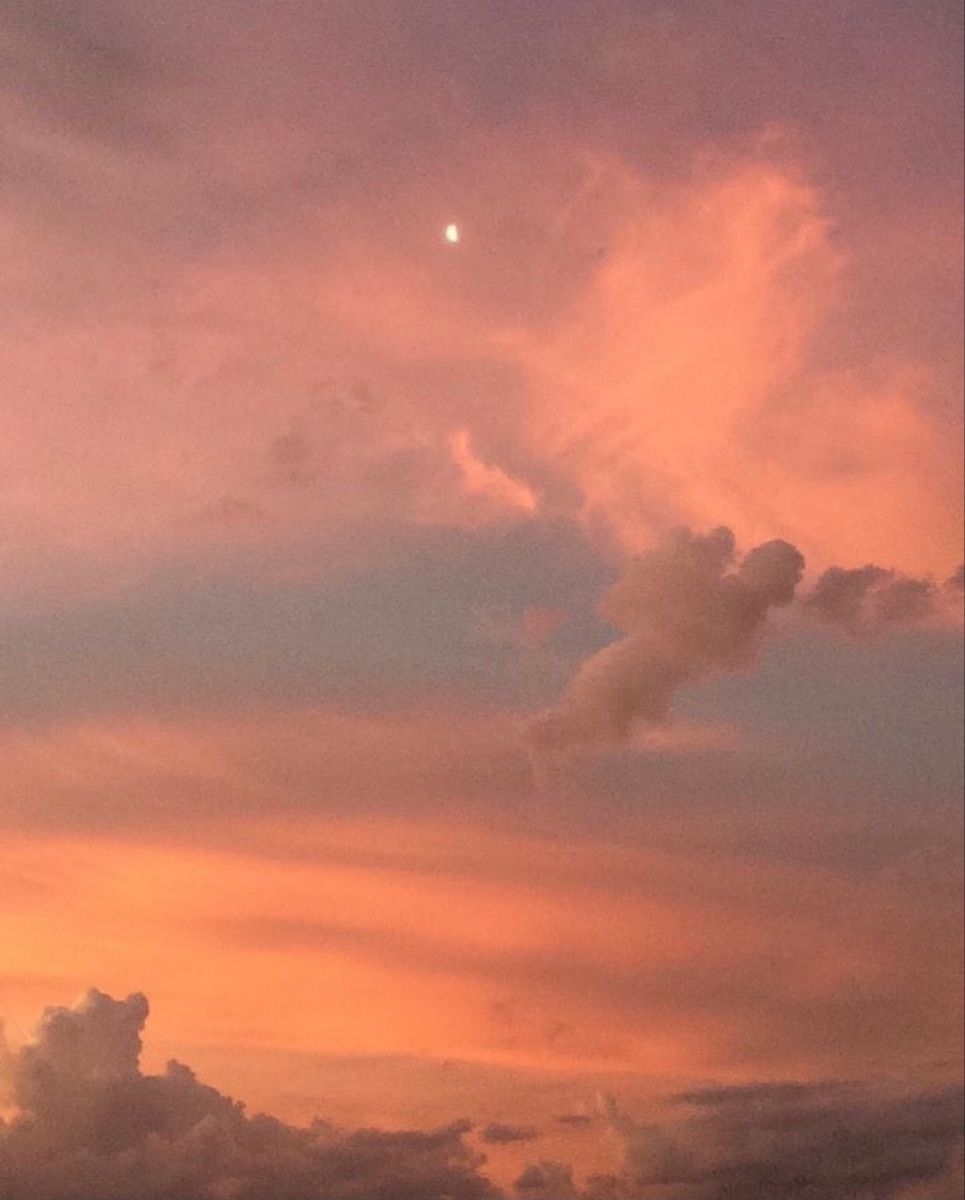 peach skies. Sky aesthetic, Orange sky