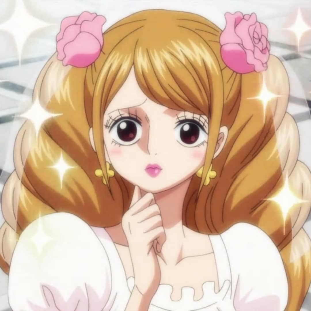 anime #animate #onepiece #otaku