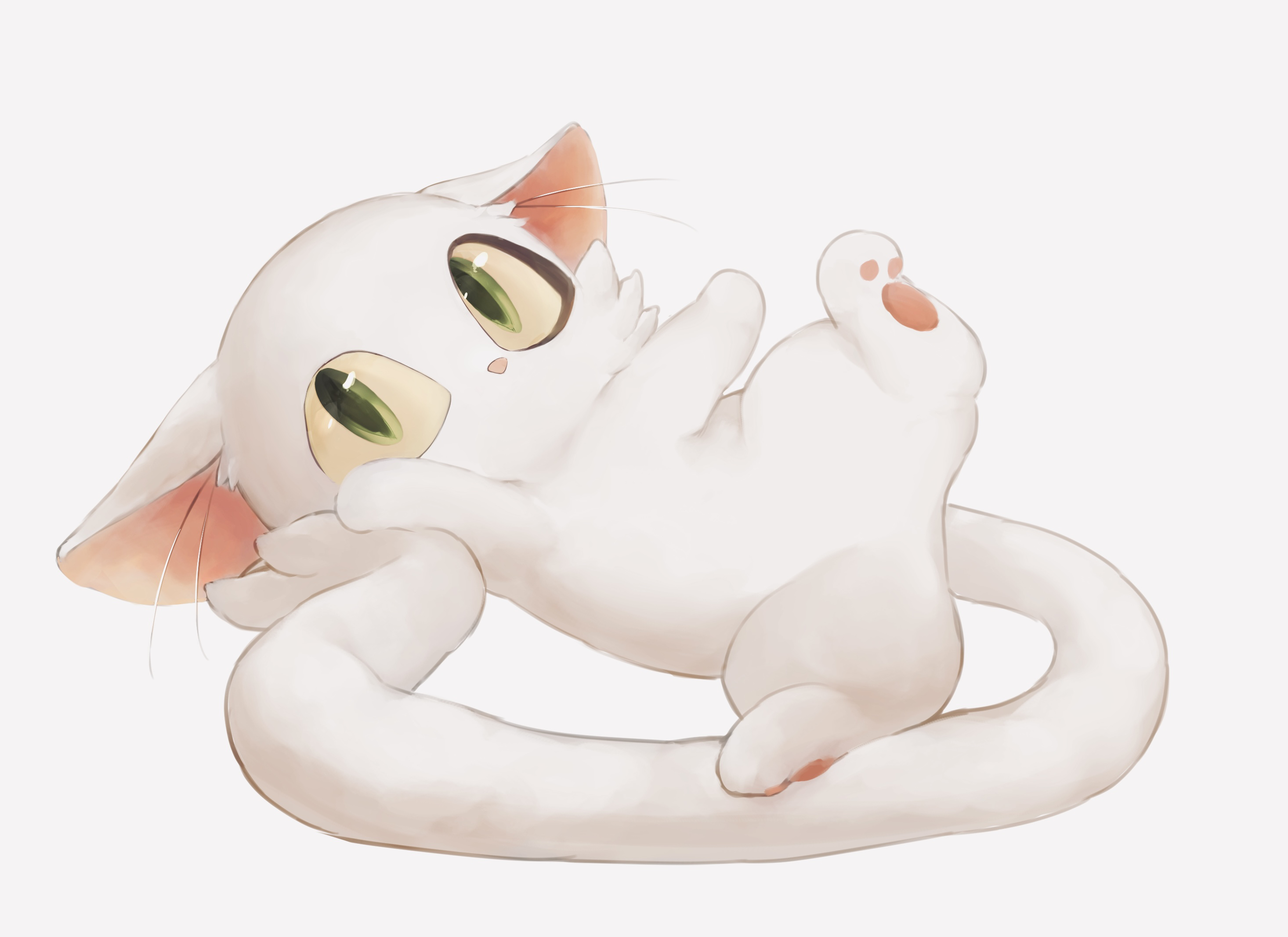 animal cat daijin (suzume) no humans