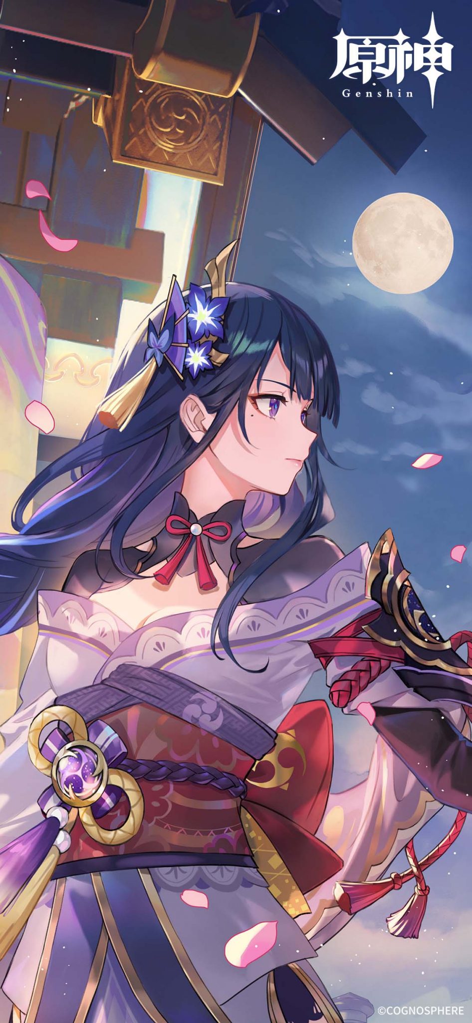 Raiden Shogun Image Gallery