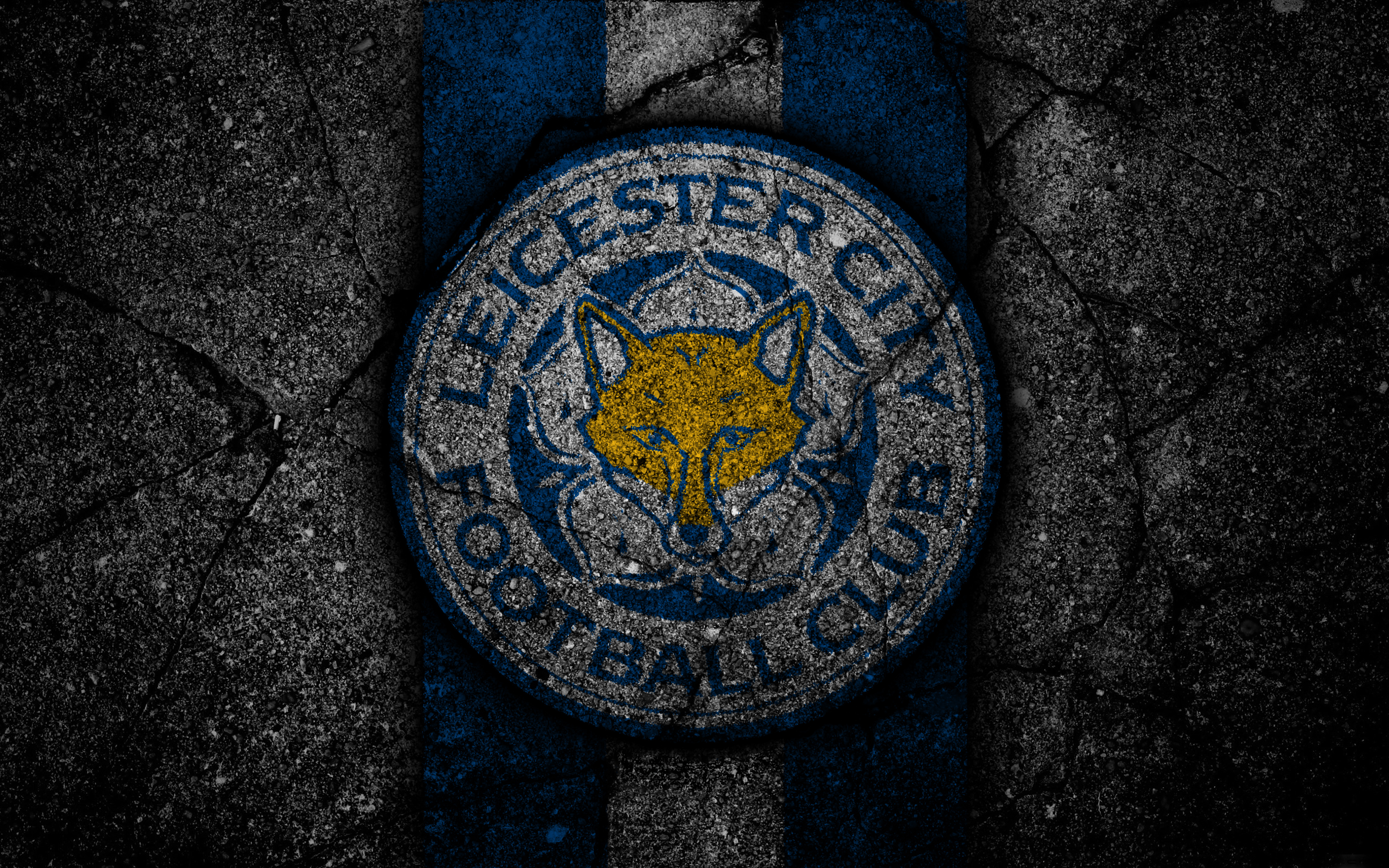 Sports Leicester City F.C. 4k Ultra HD