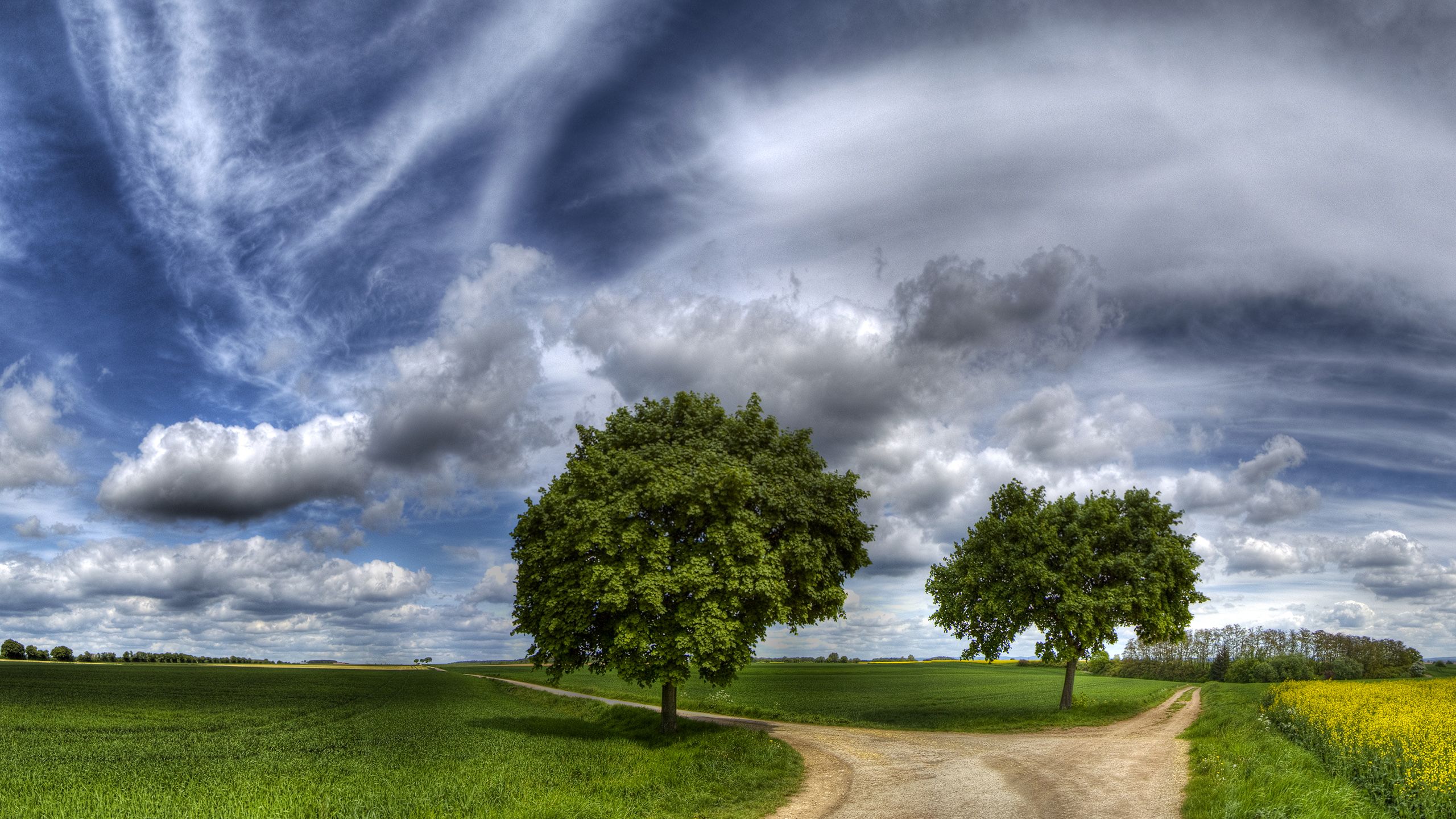 Идеи озеленения, Картины пейзажа, Окно