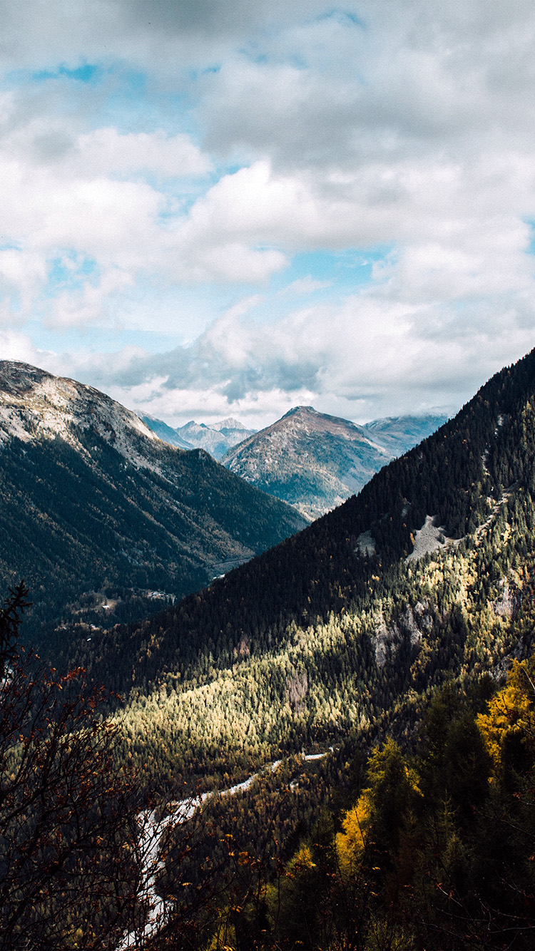 Mountain Forest Summer Wood Nature