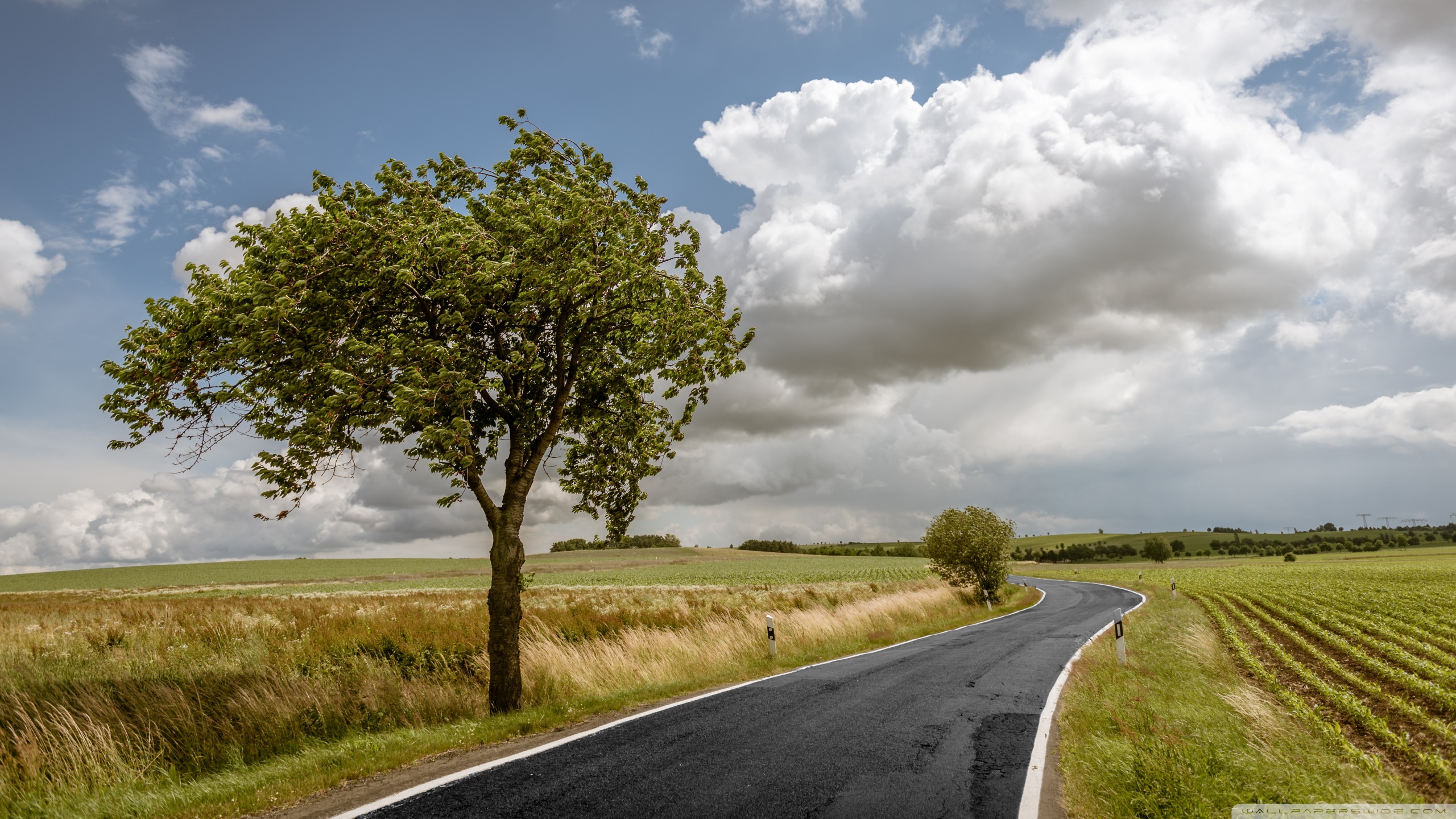 Ultra HD Desktop Background Wallpaper