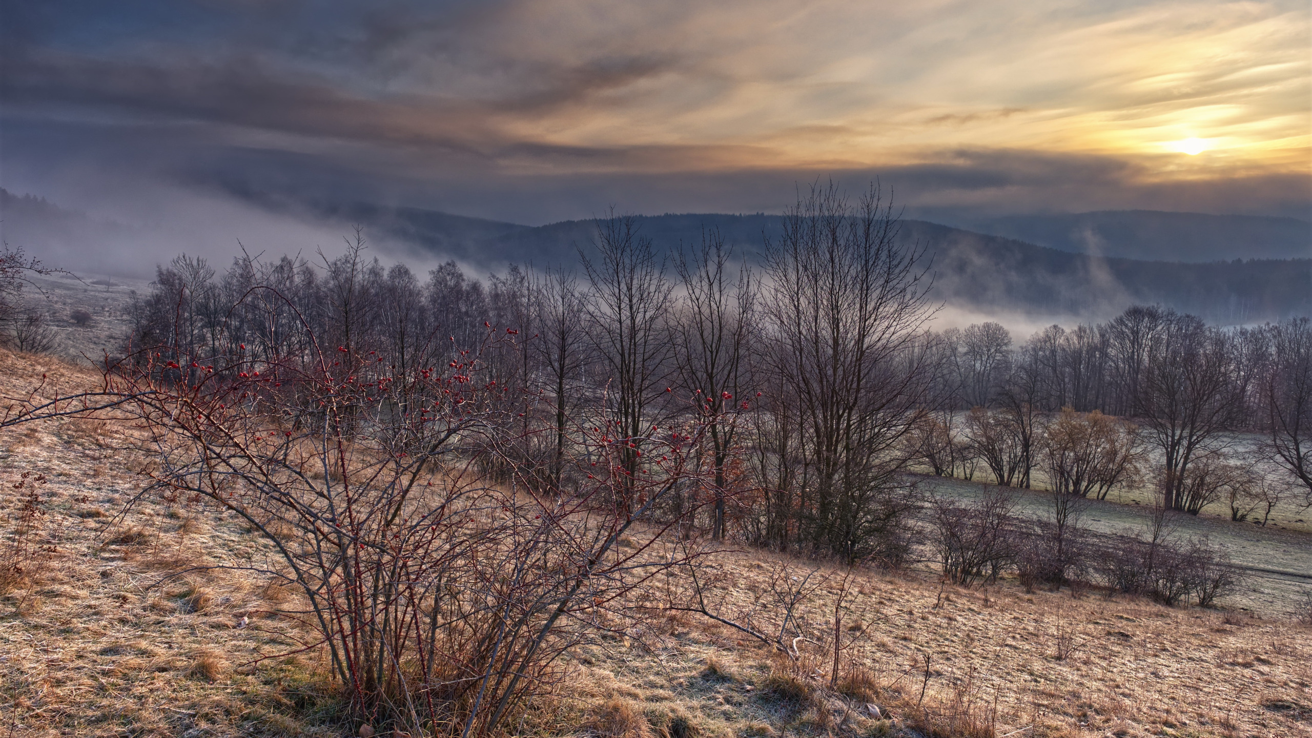 Download wallpaper landscape, morning